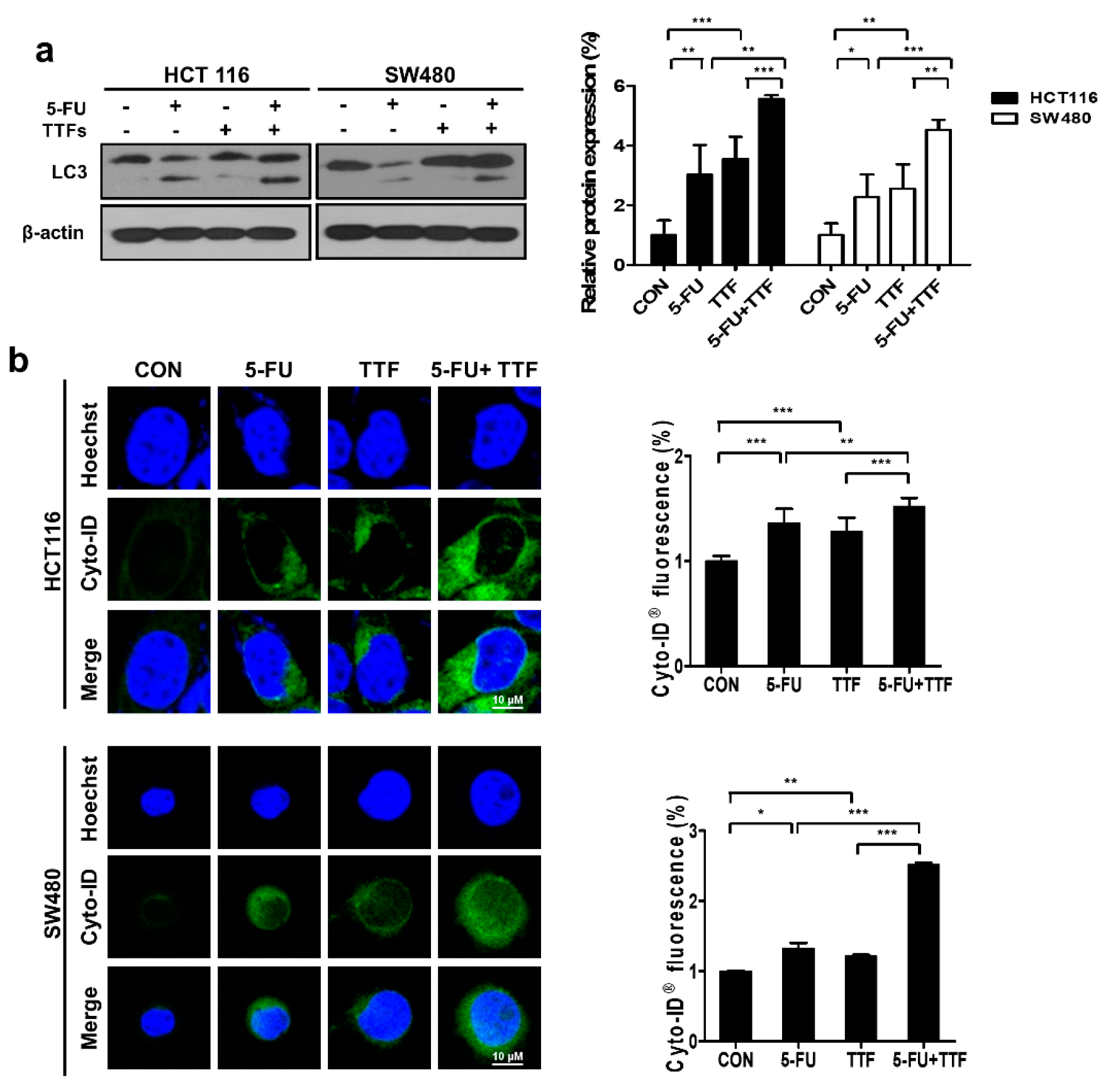 Cancers 11 01999 g006a