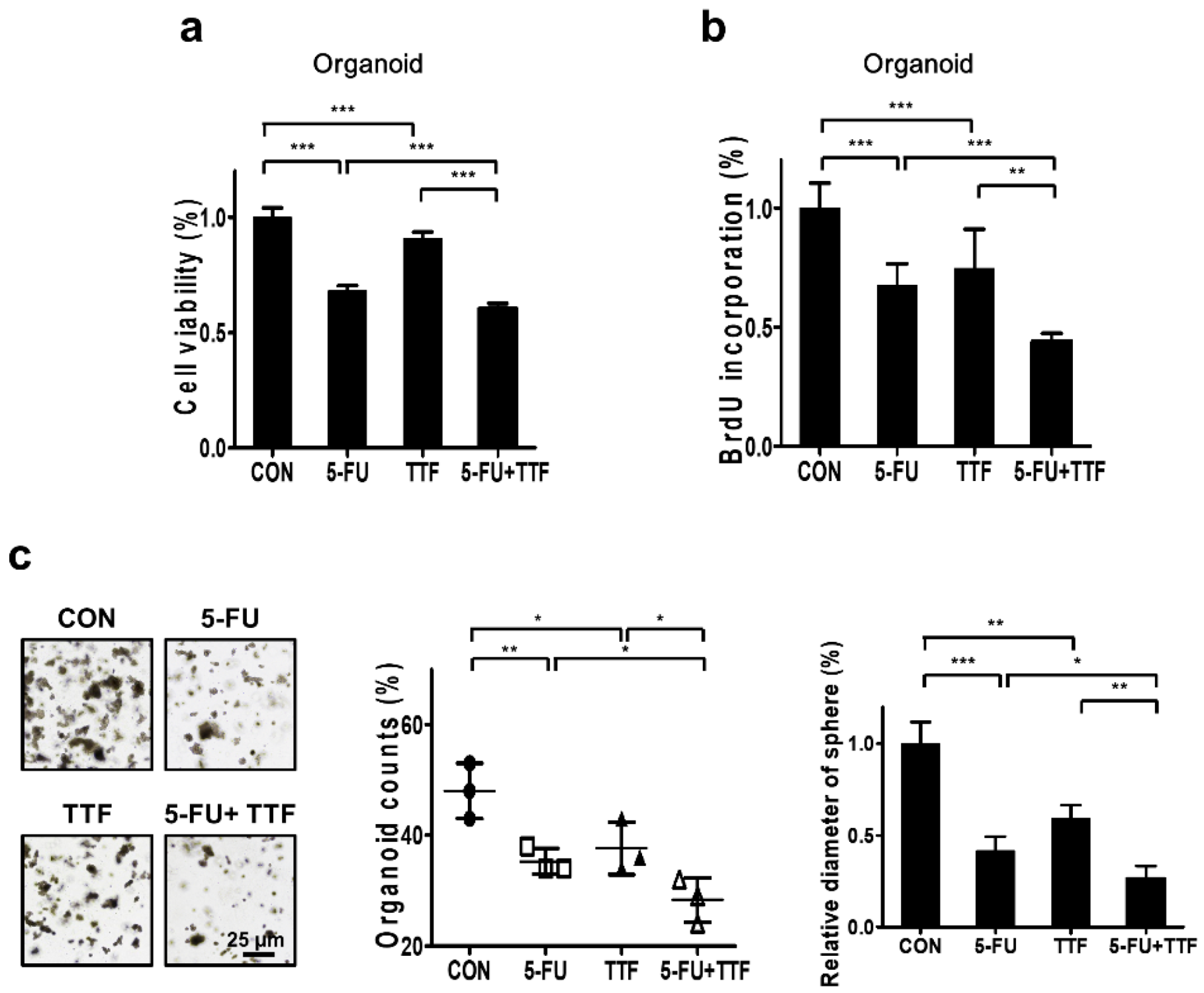 Cancers 11 01999 g007a