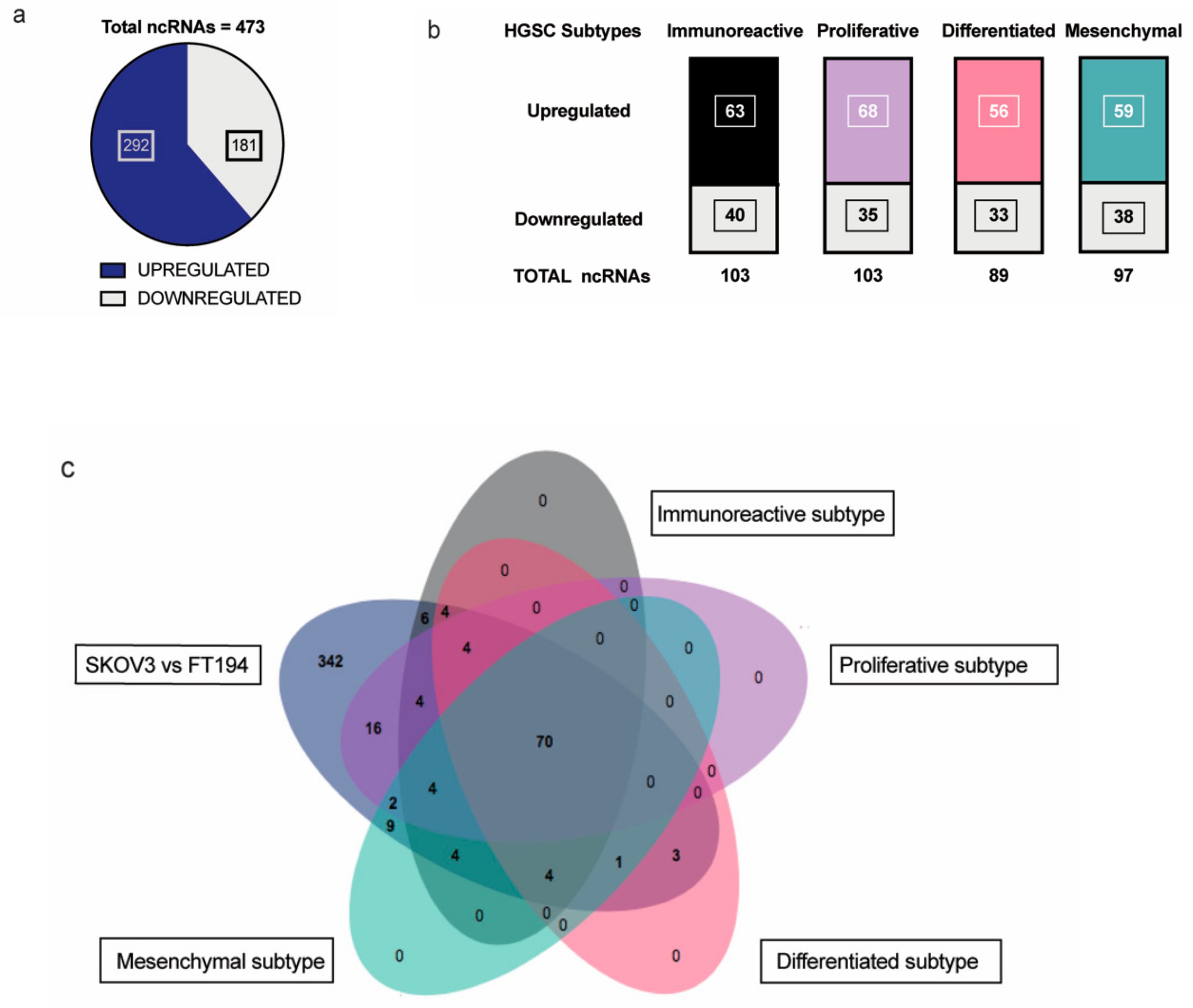 Cancers 11 02008 g001