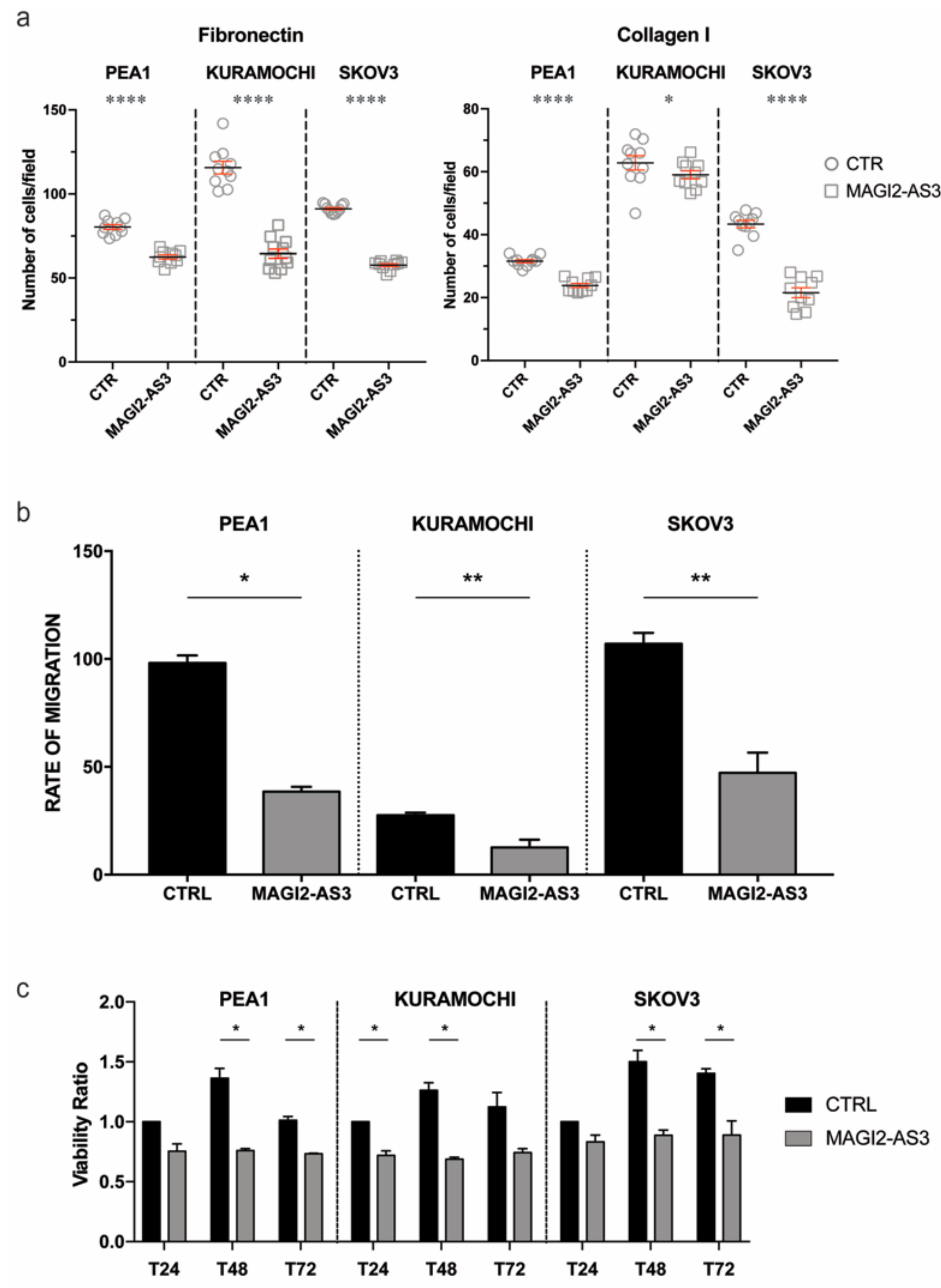 Cancers 11 02008 g004