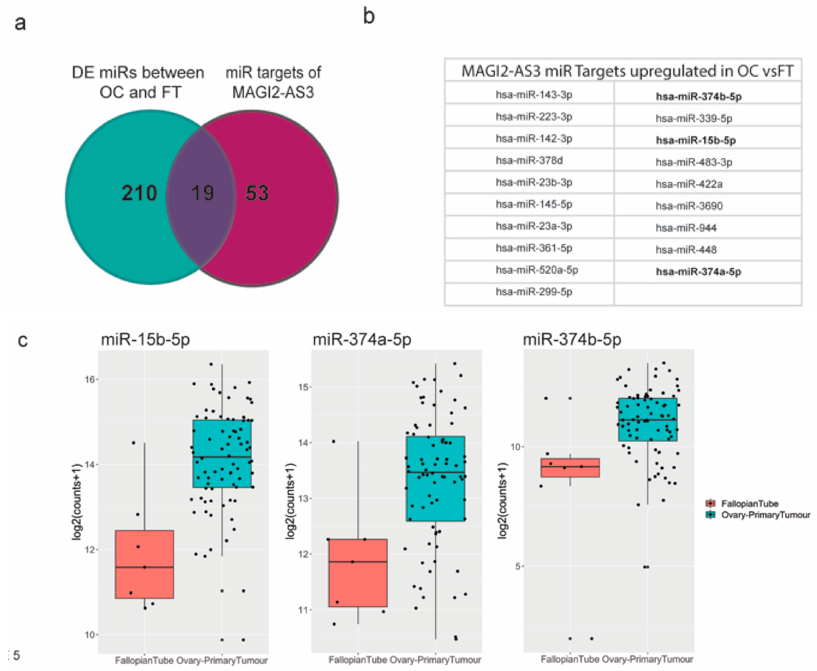 Cancers 11 02008 g005