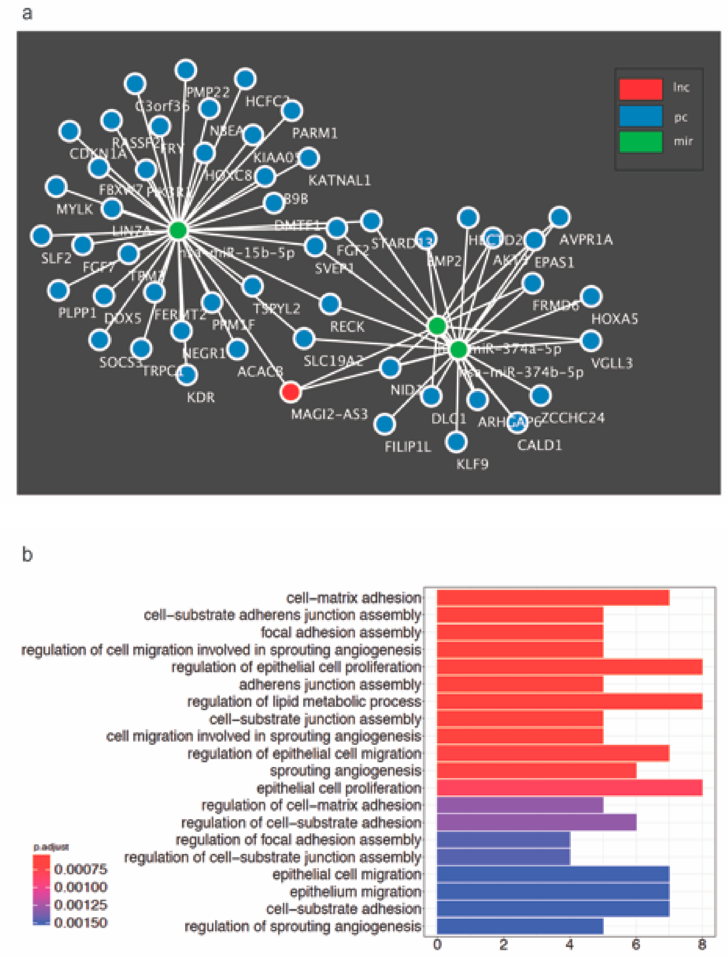 Cancers 11 02008 g007