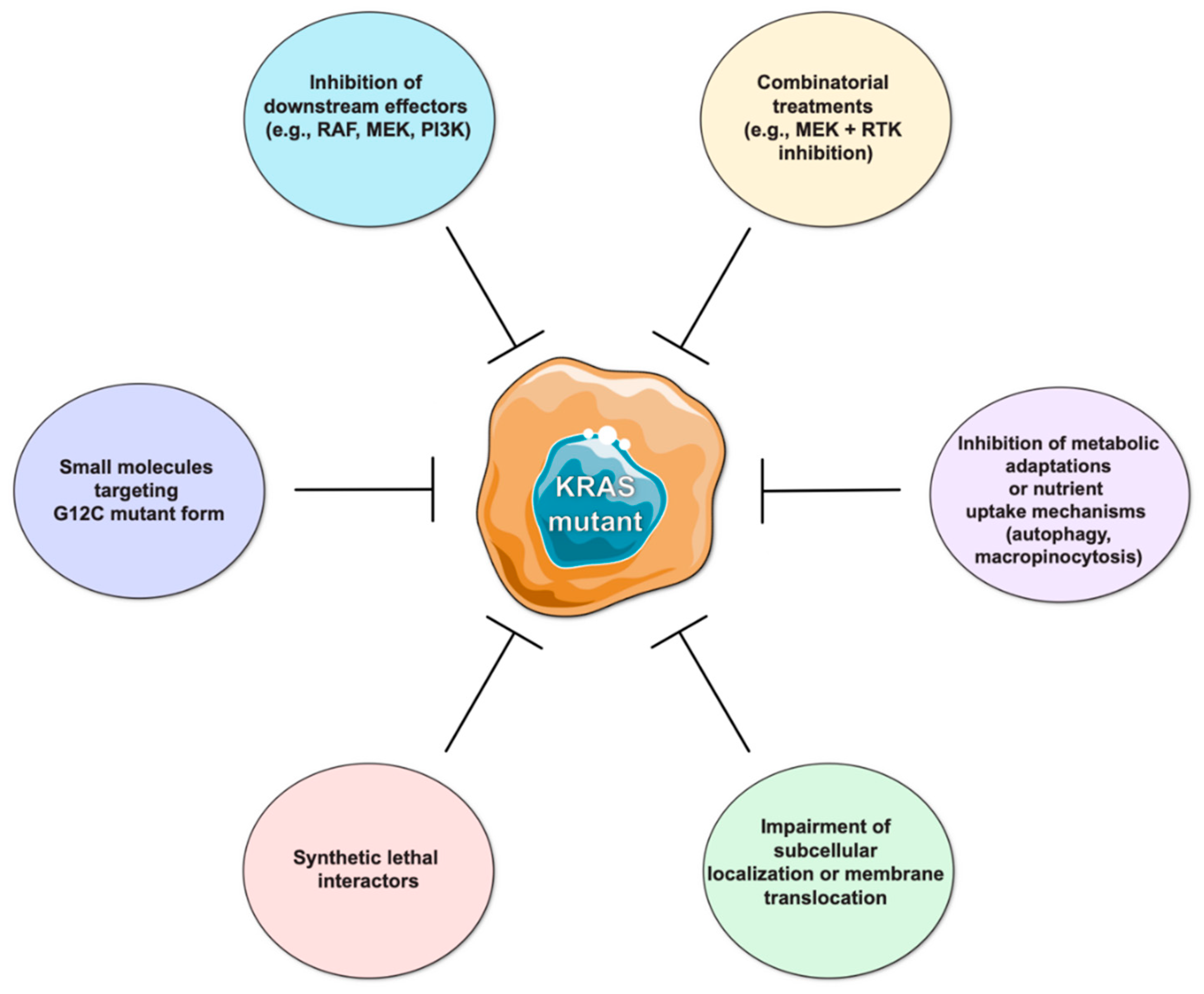 Cancers 11 02010 g001