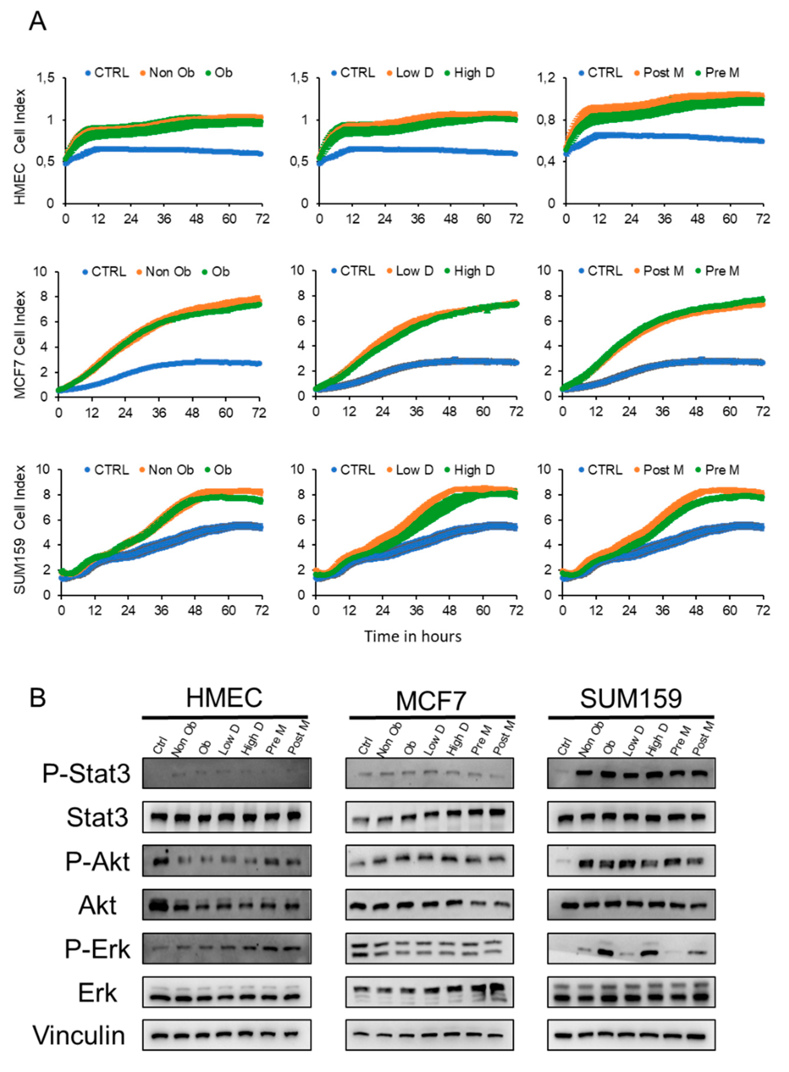 Cancers 11 02012 g003