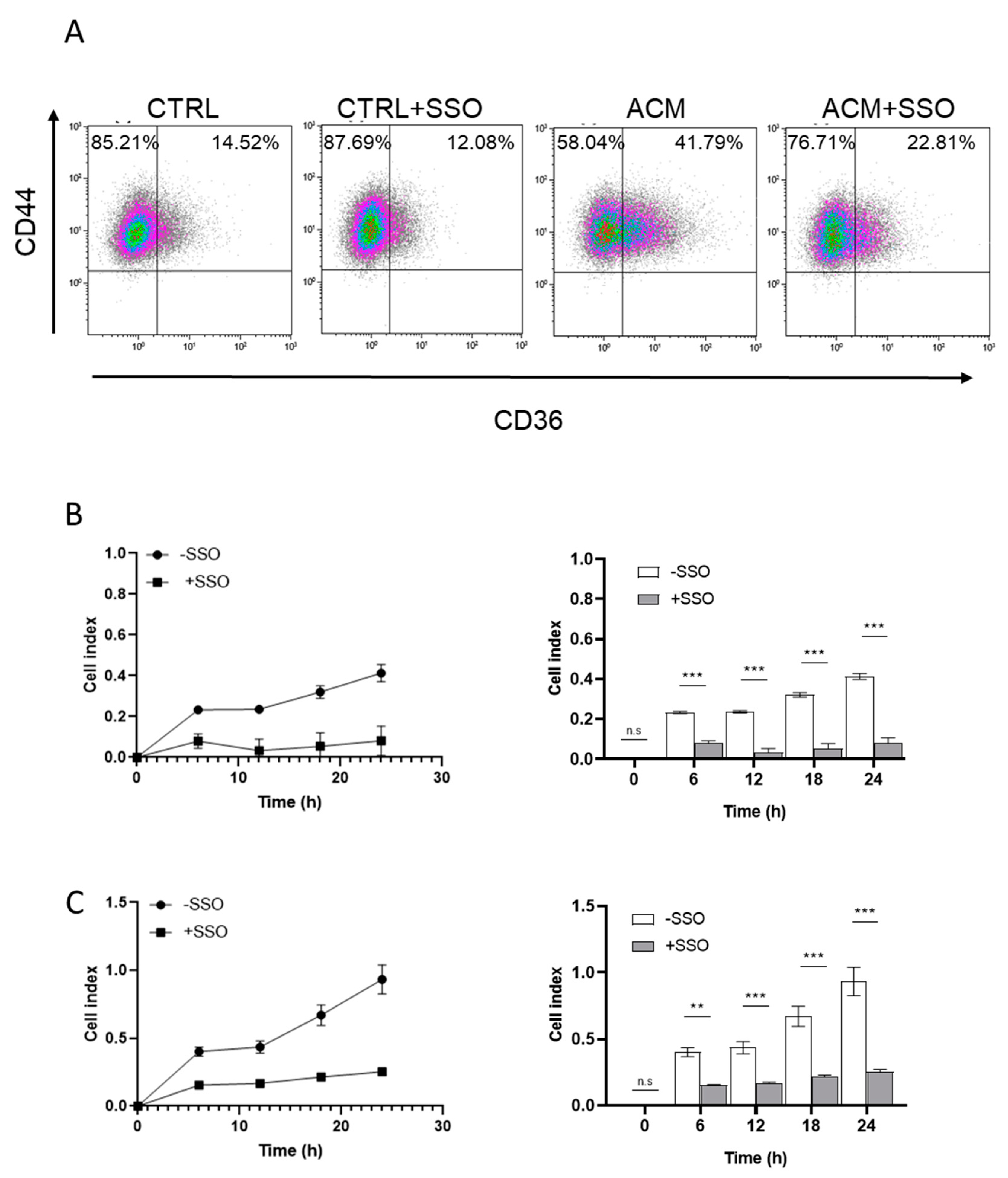 Cancers 11 02012 g007