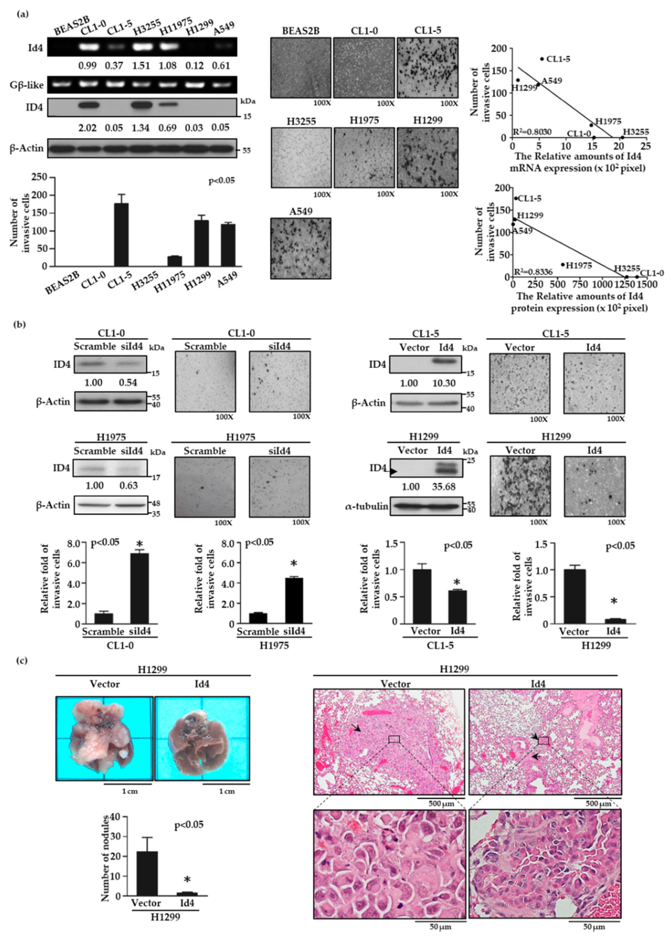 Cancers 11 02021 g001