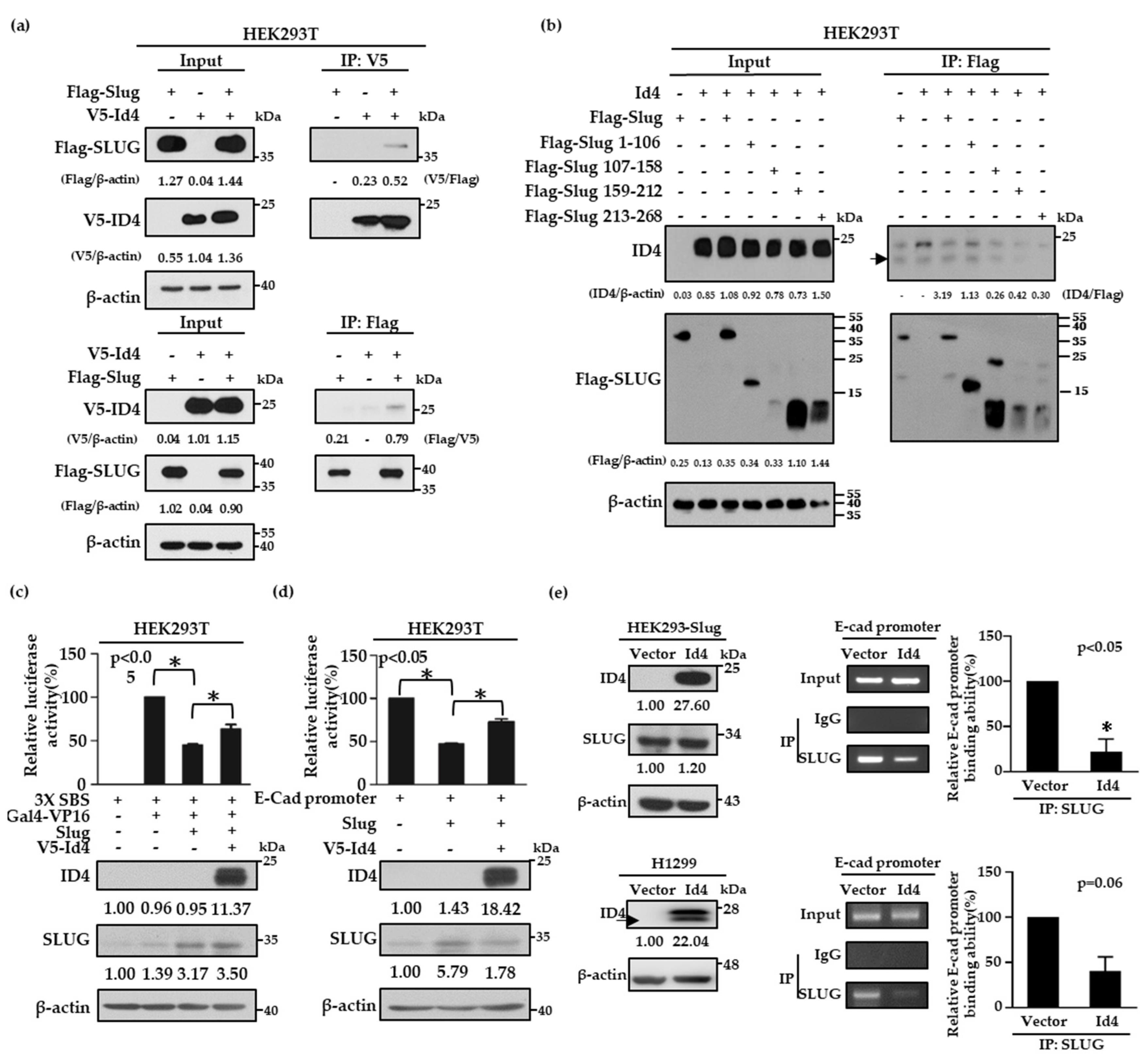 Cancers 11 02021 g003