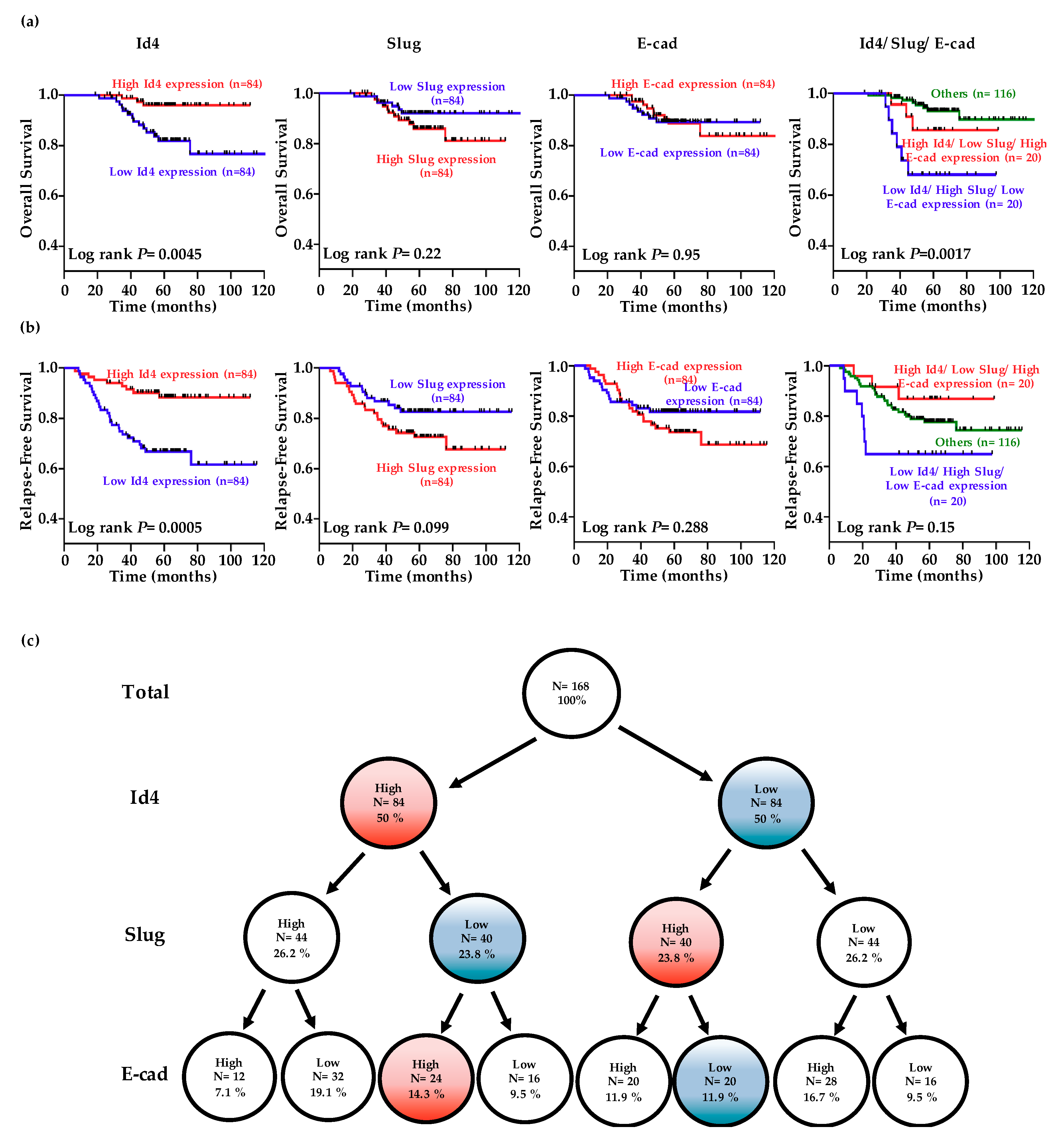 Cancers 11 02021 g004