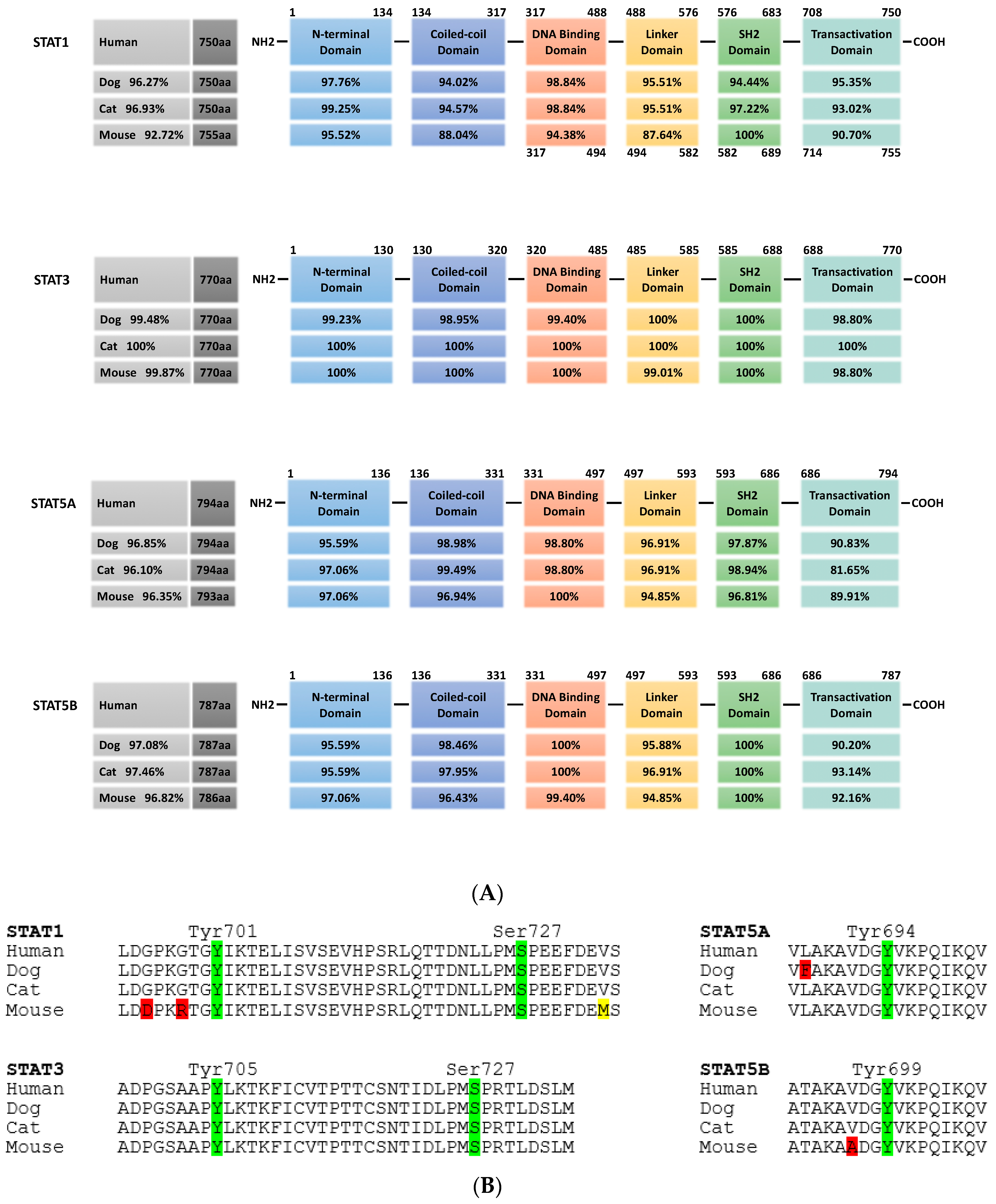 Cancers 11 02035 g002