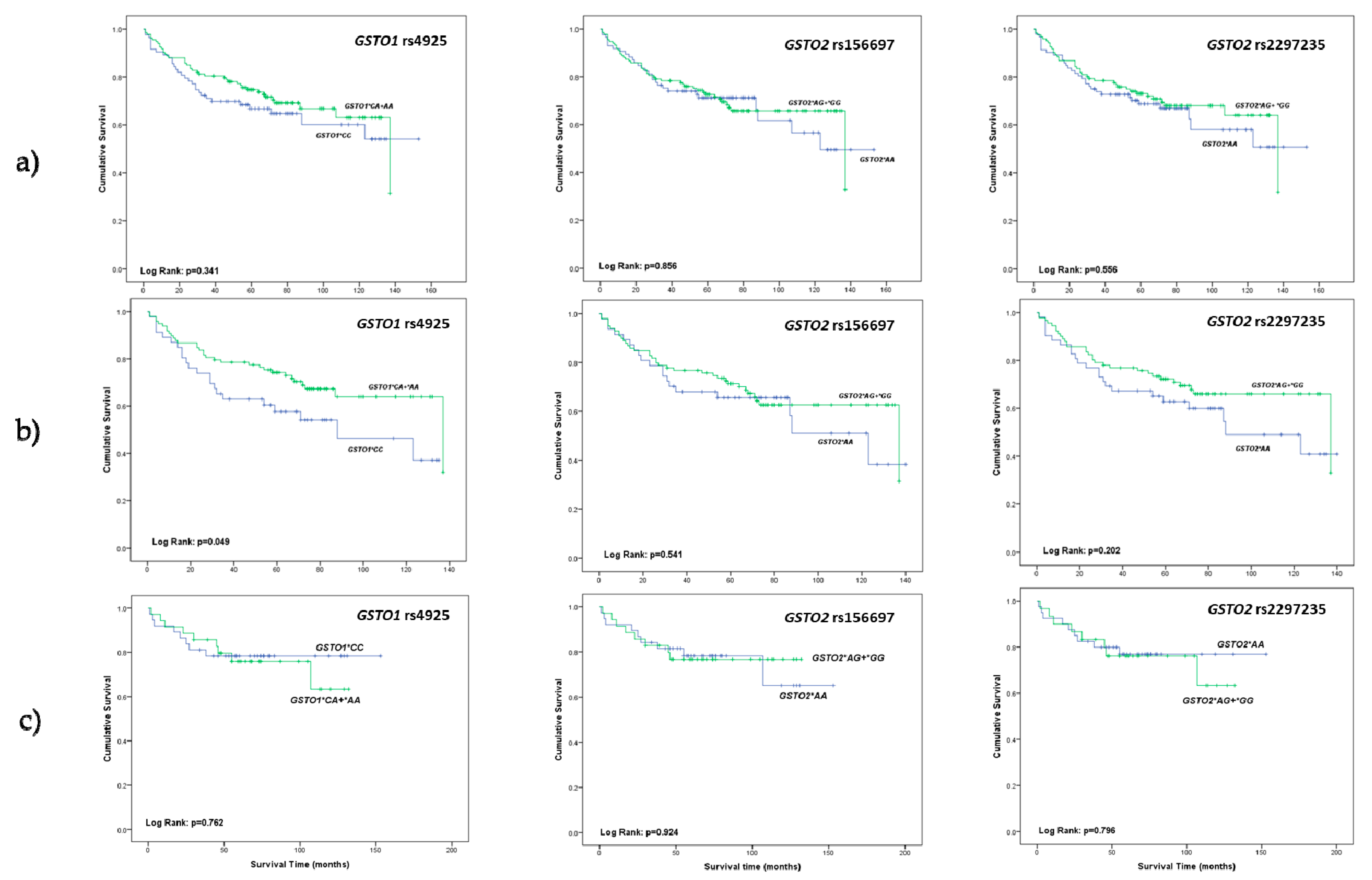 Cancers 11 02038 g001