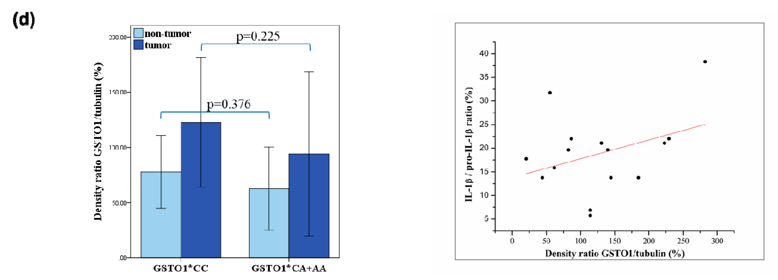 Cancers 11 02038 g002b