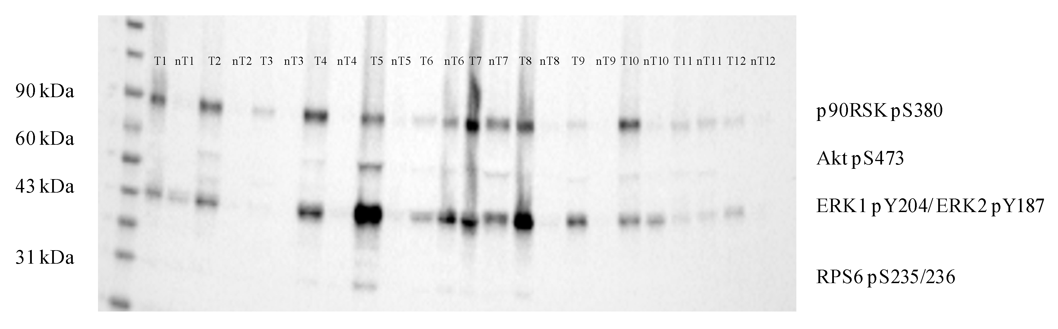 Cancers 11 02038 g003