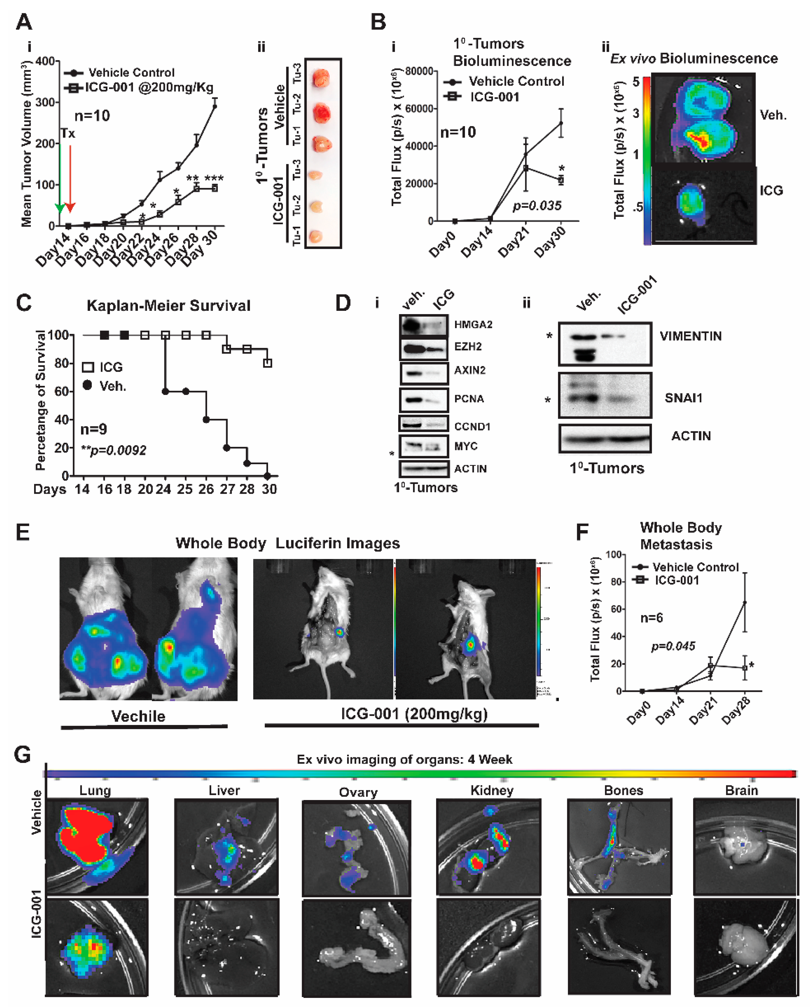 Cancers 11 02039 g003