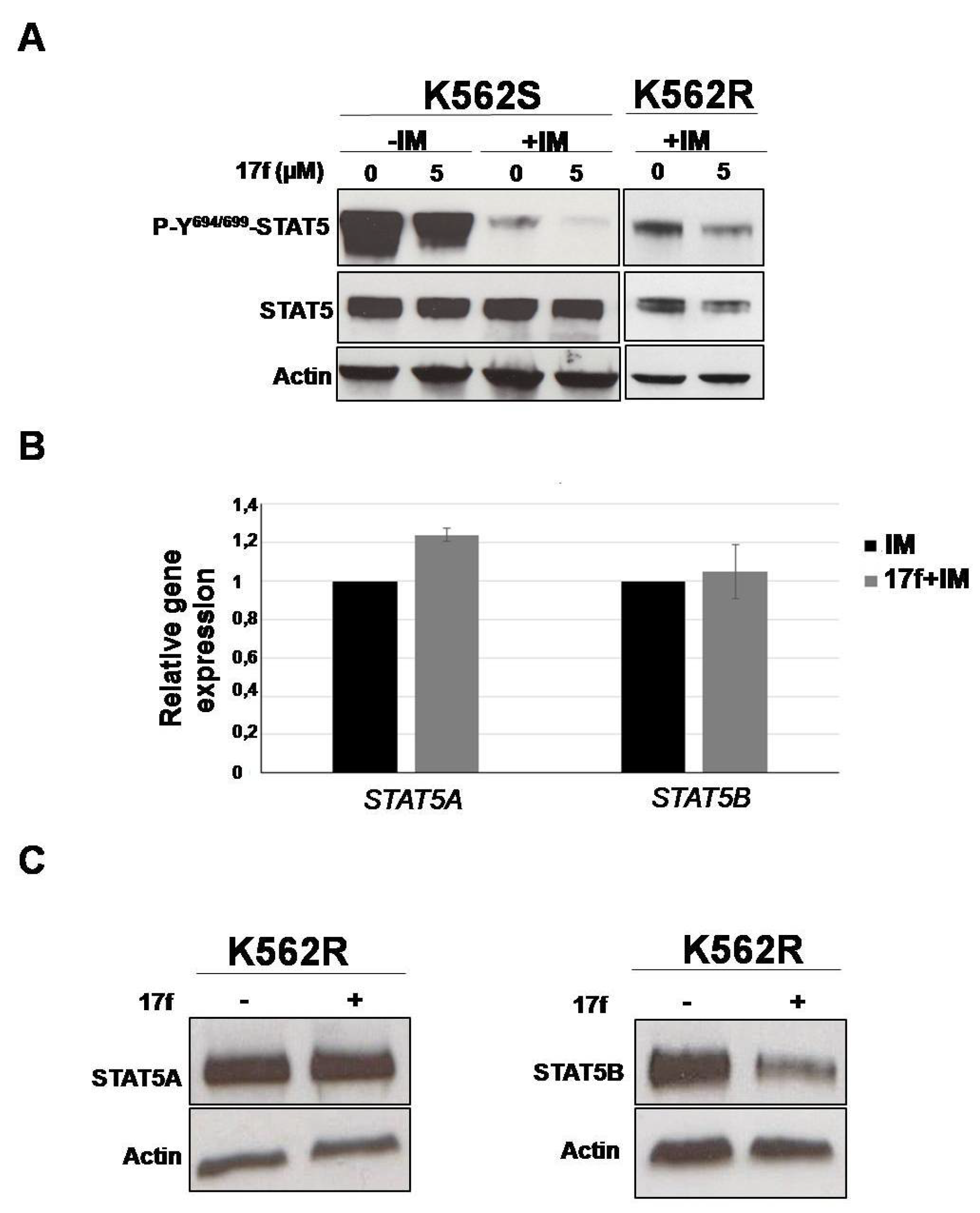 Cancers 11 02043 g004
