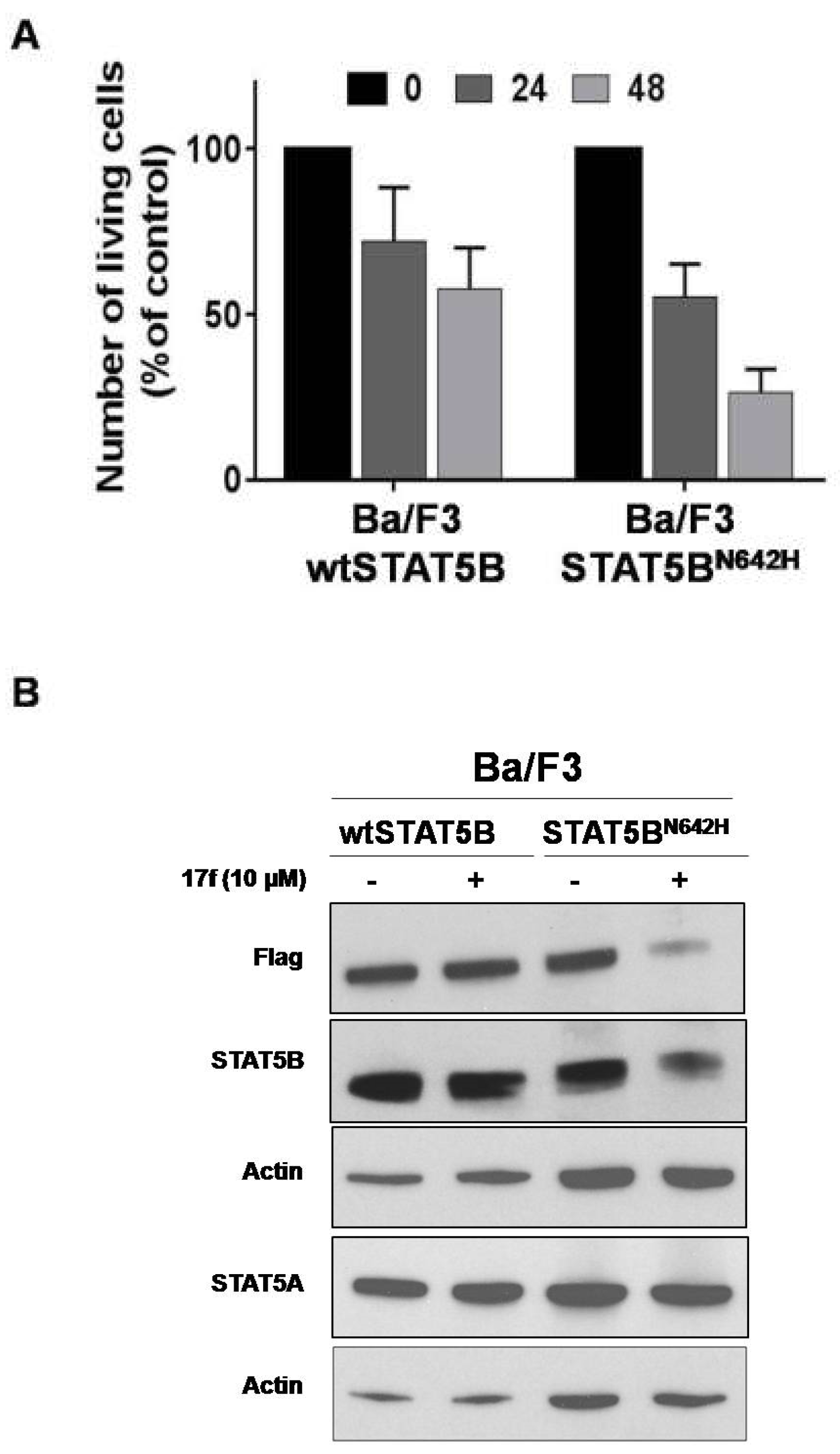 Cancers 11 02043 g008