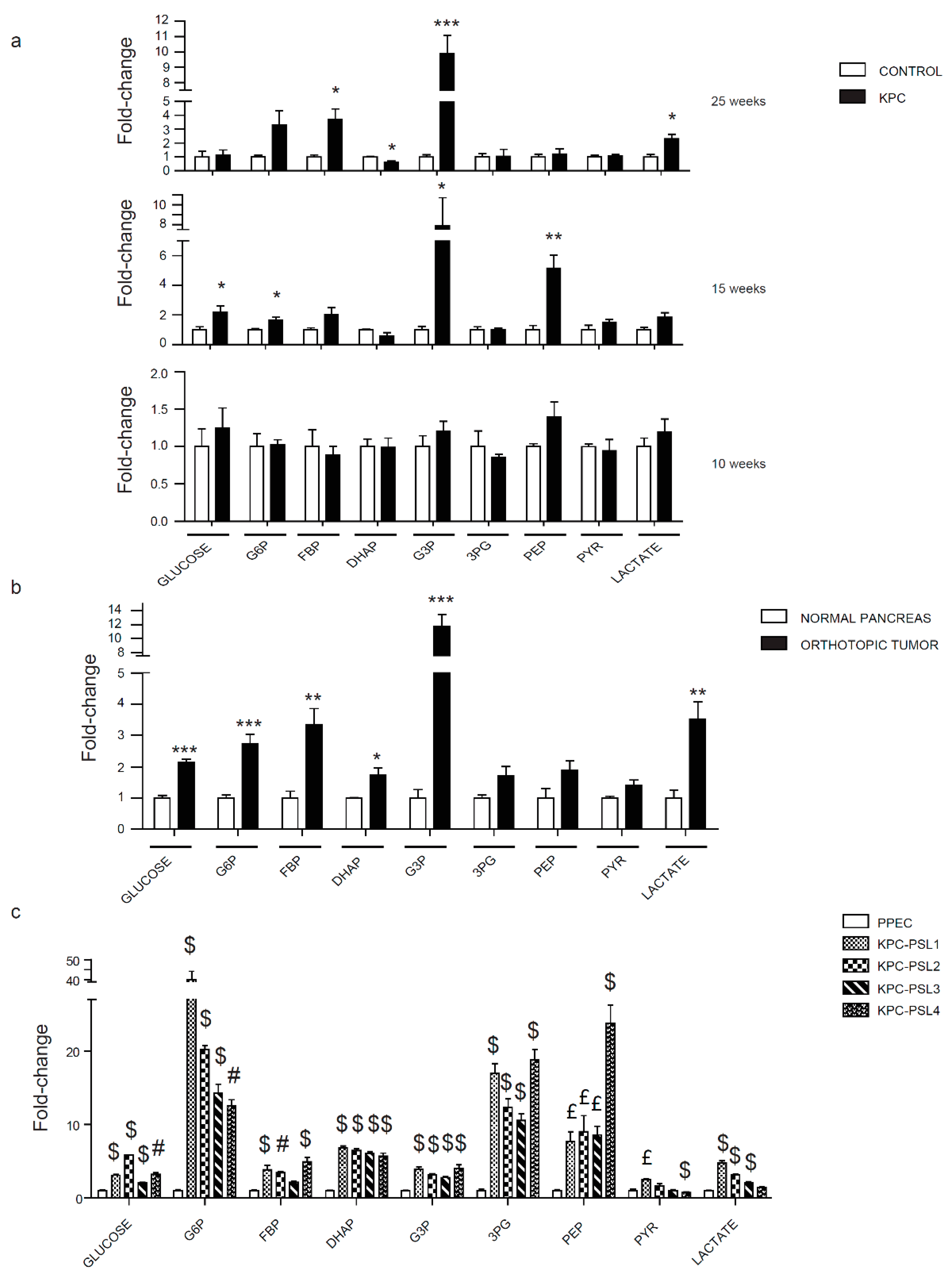 Cancers 12 00002 g002