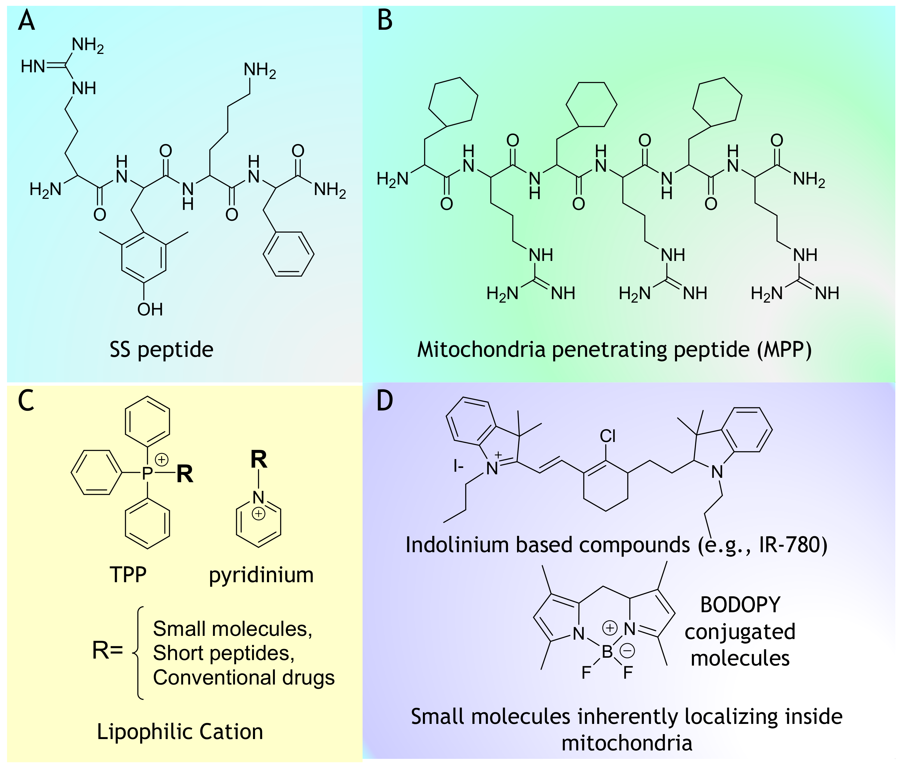 Cancers 12 00004 g001
