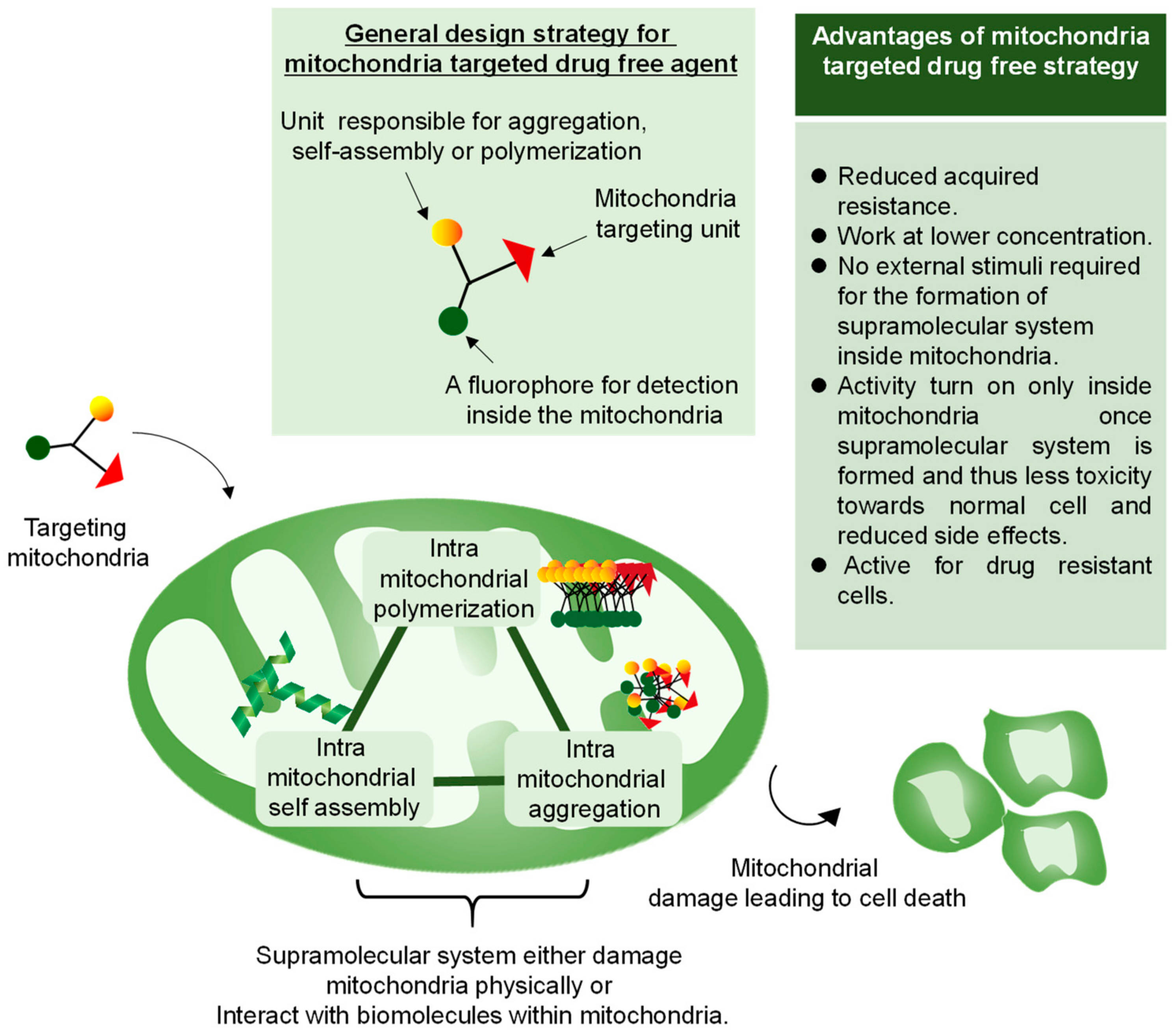 Cancers 12 00004 g005