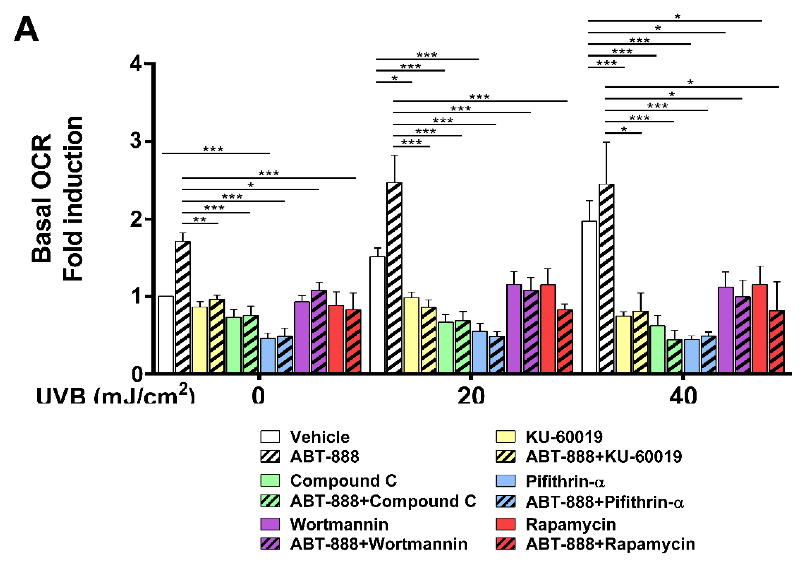 Cancers 12 00005 g009a Cancers 12 00005 g009a