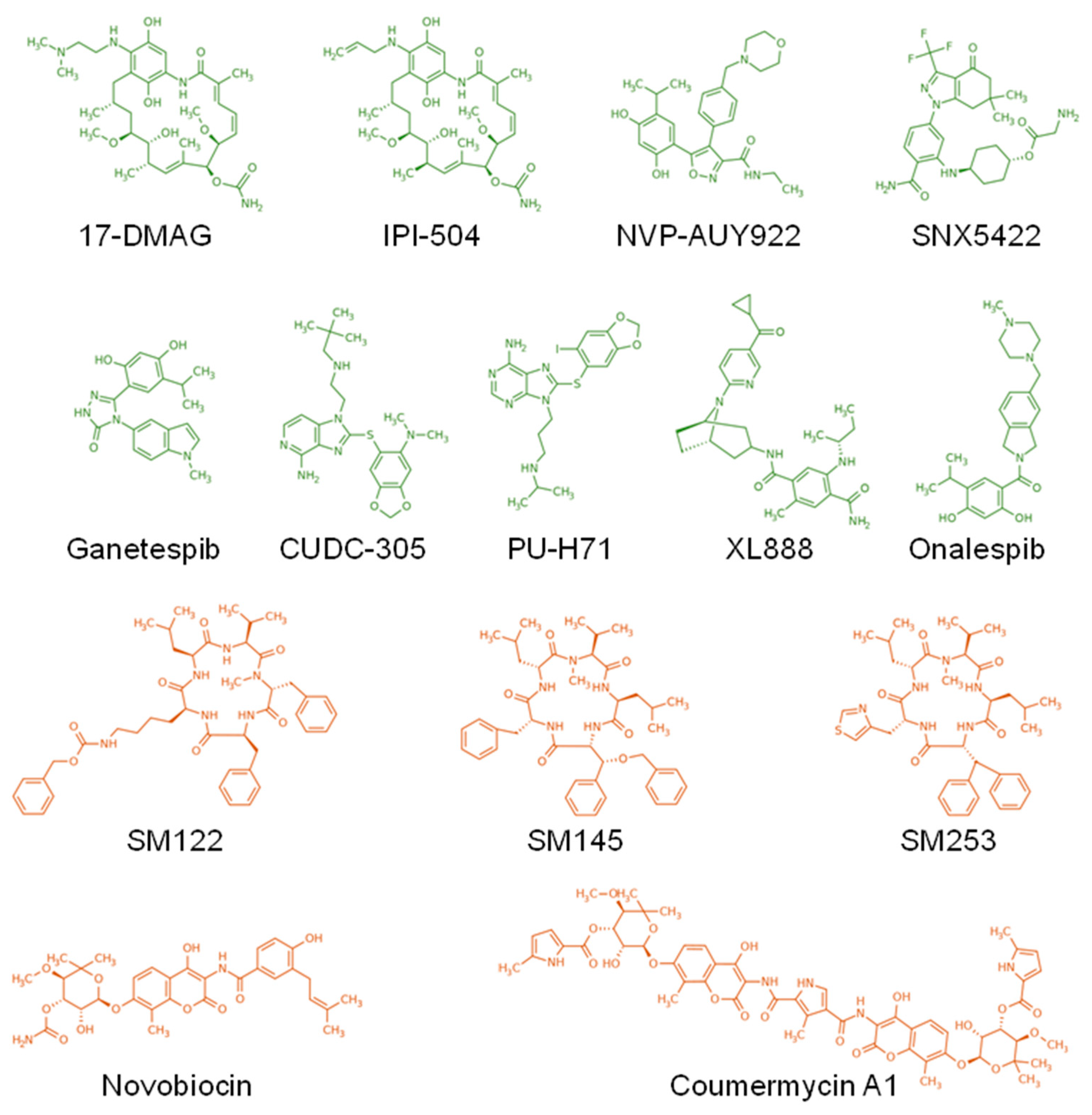 Cancers 12 00021 g002