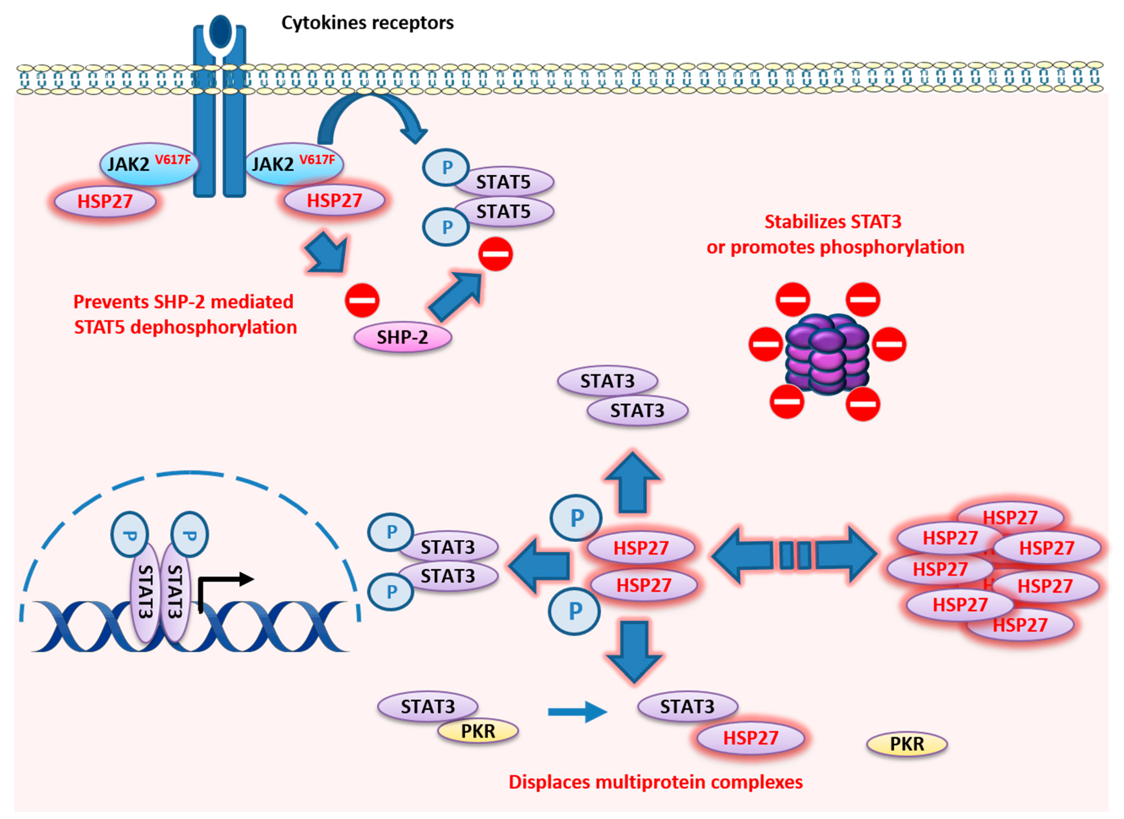 Cancers 12 00021 g003