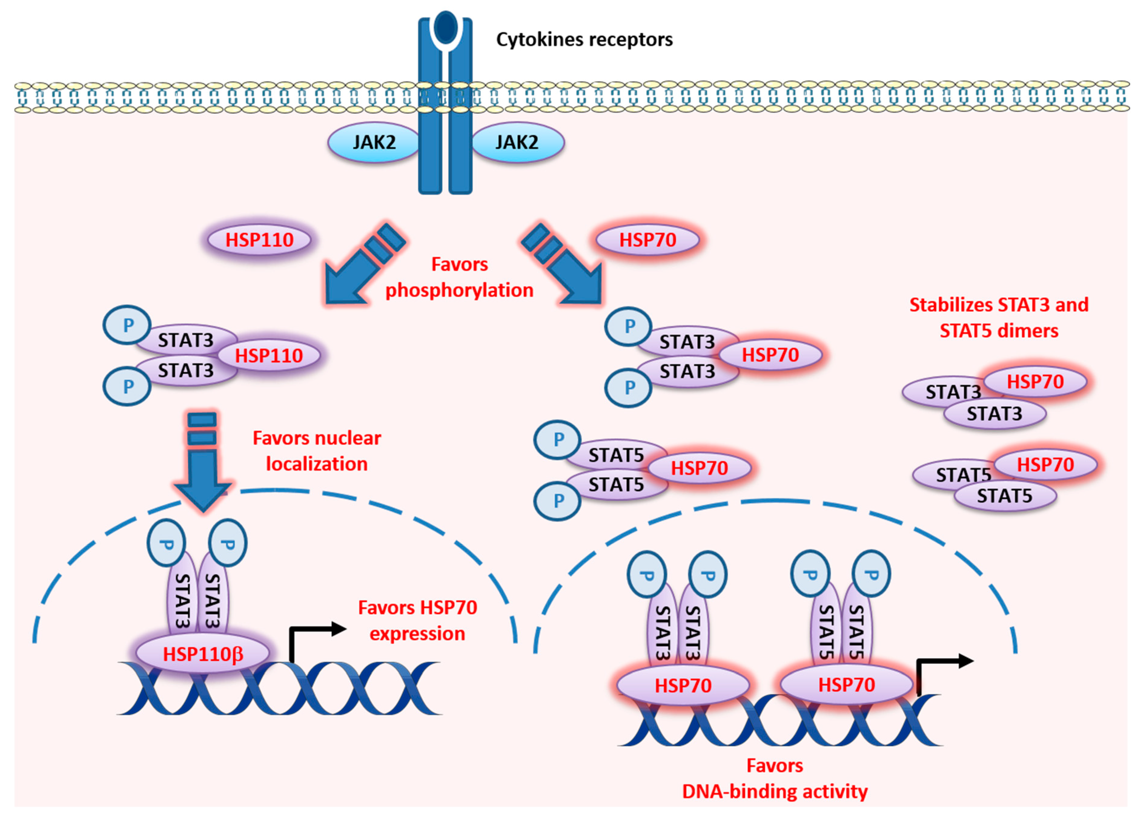 Cancers 12 00021 g004
