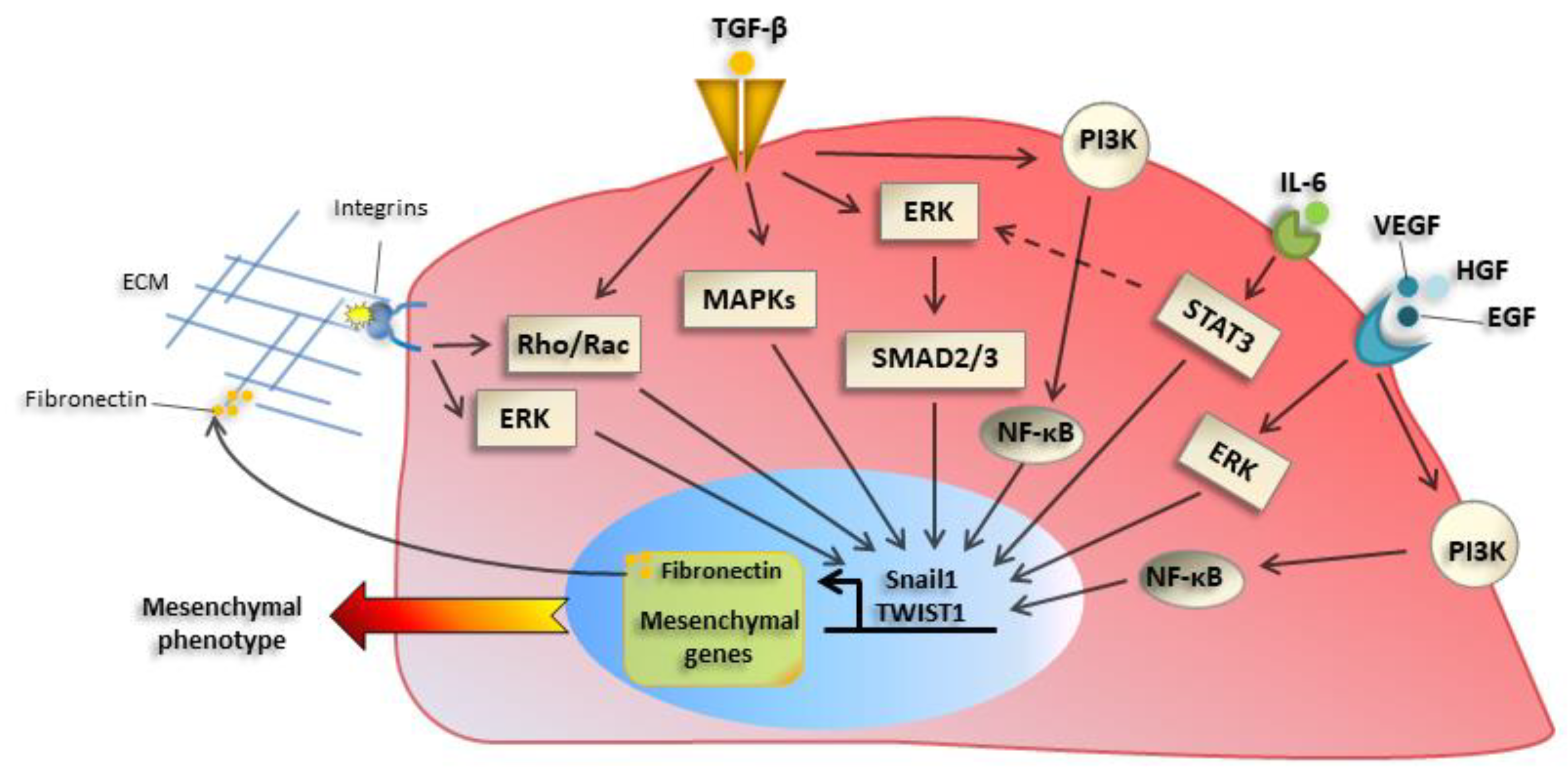 Cancers 12 00025 g002