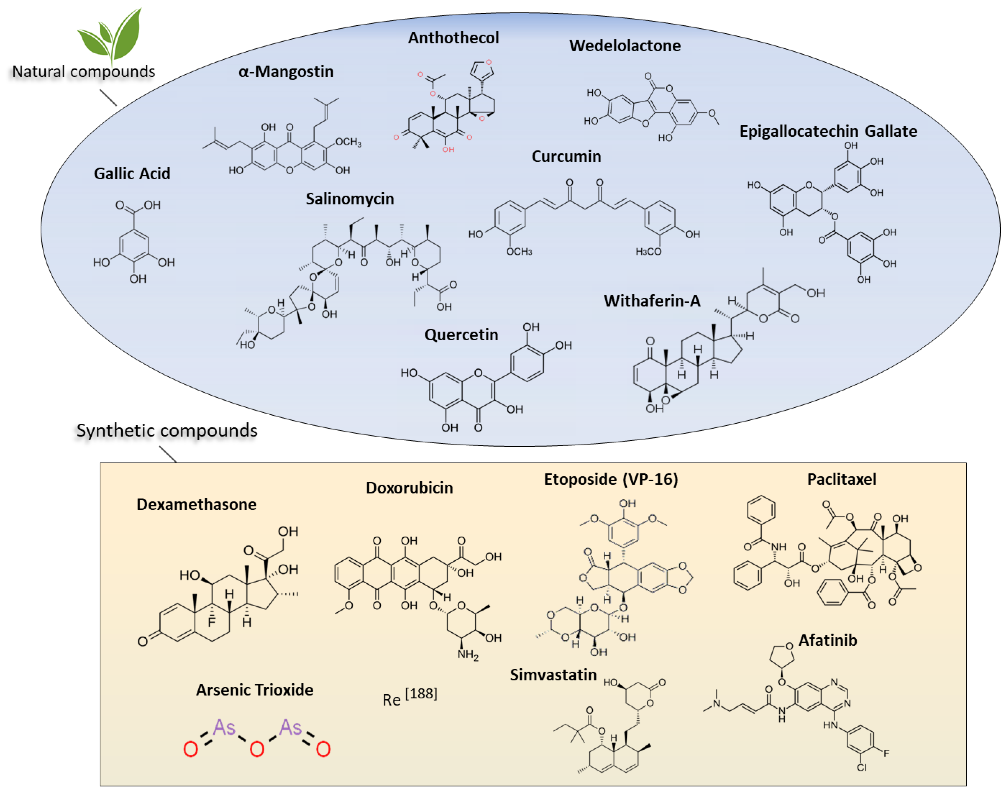 Cancers 12 00025 g004