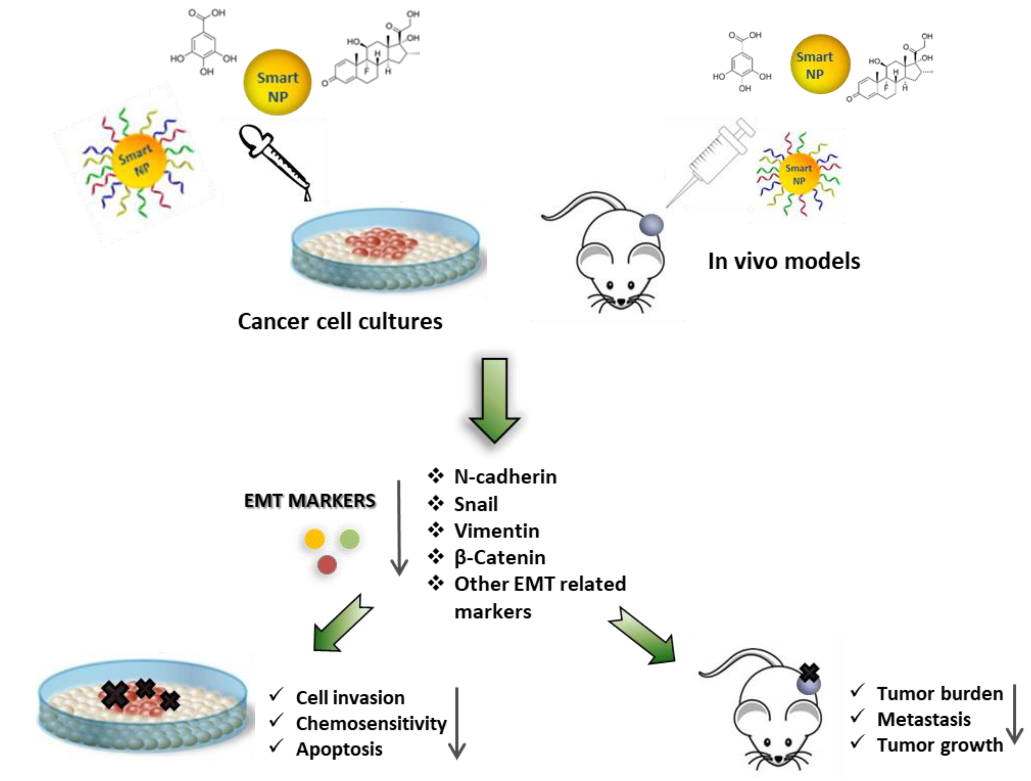 Cancers 12 00025 g005