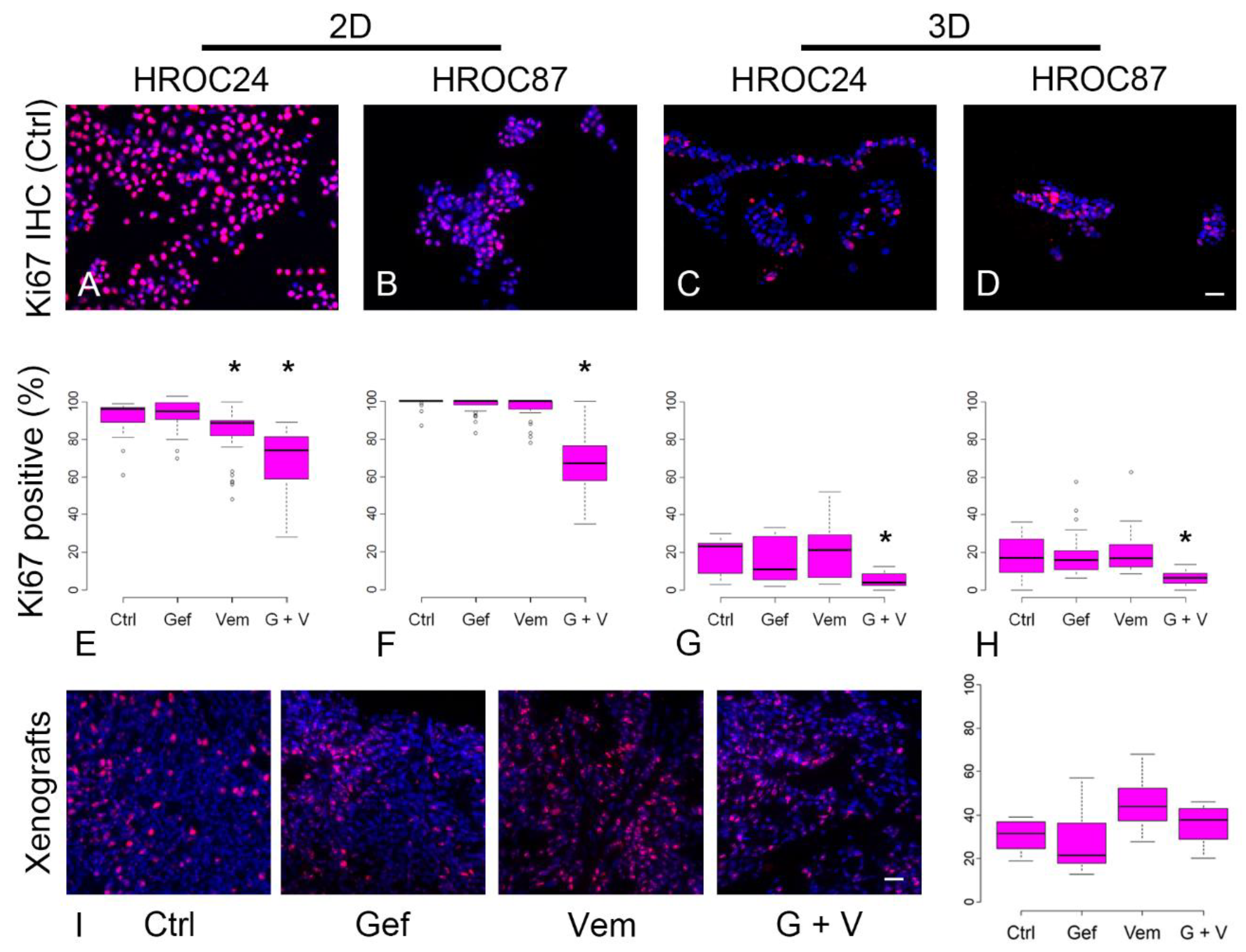 Cancers 12 00028 g003