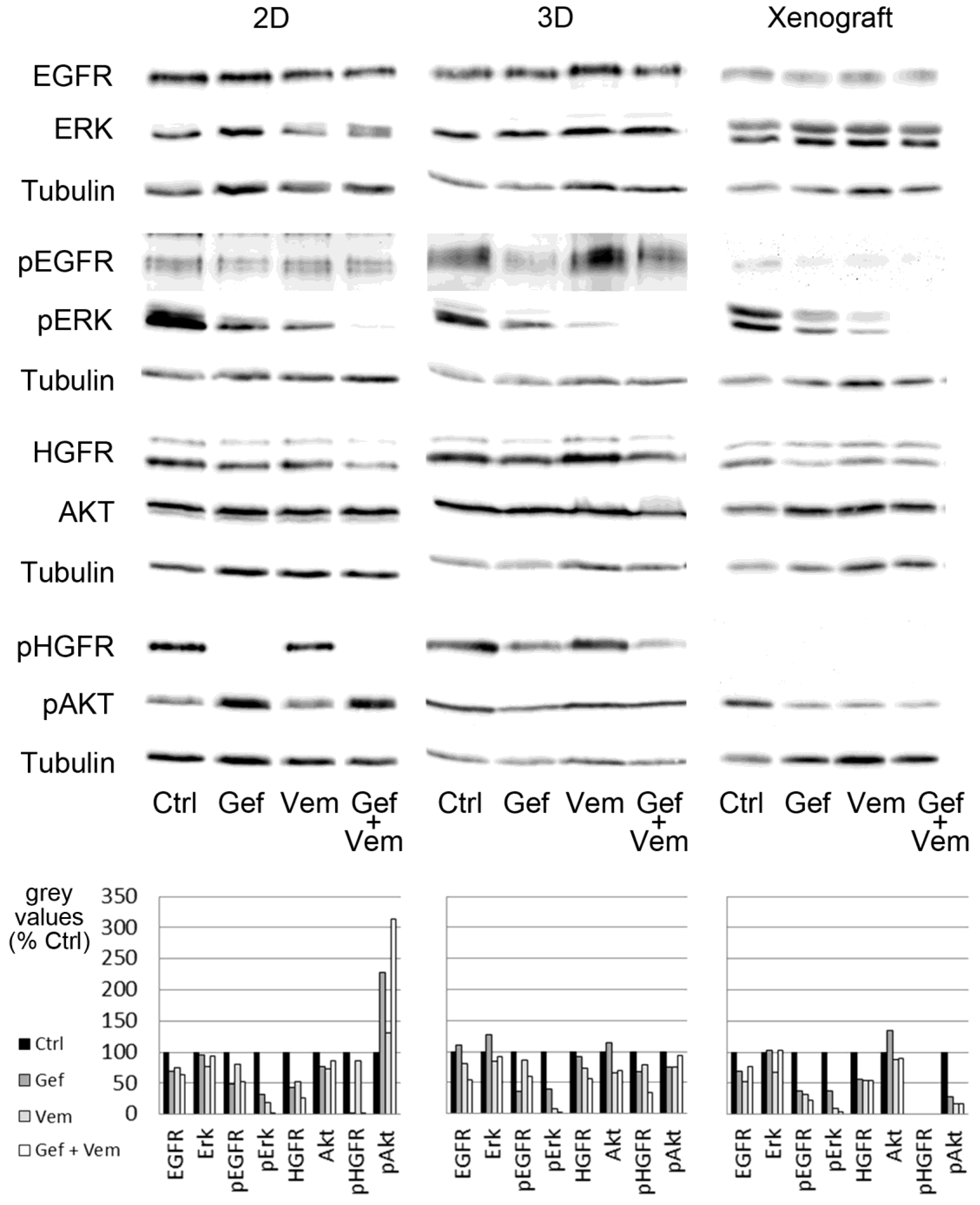 Cancers 12 00028 g005