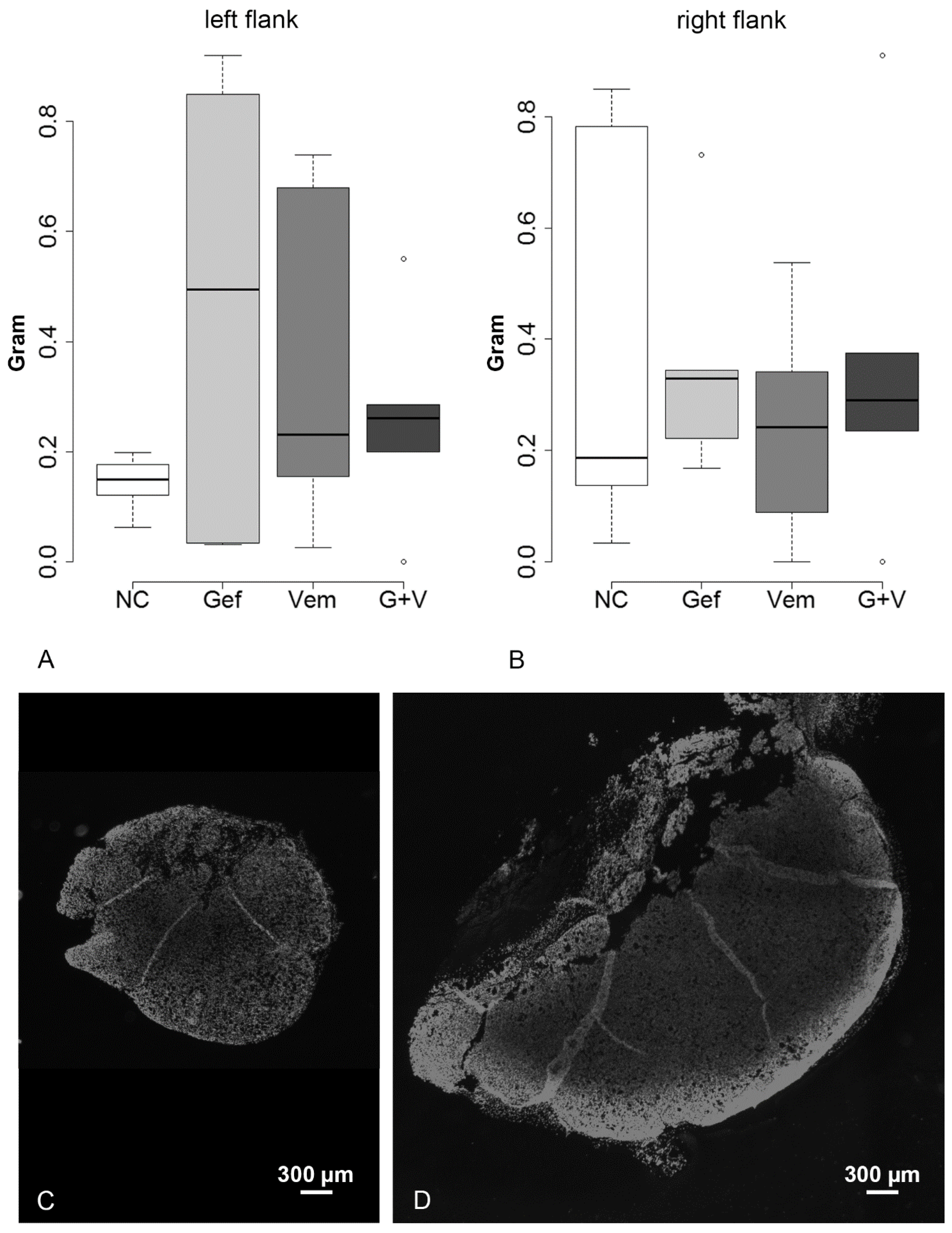 Cancers 12 00028 g0a3