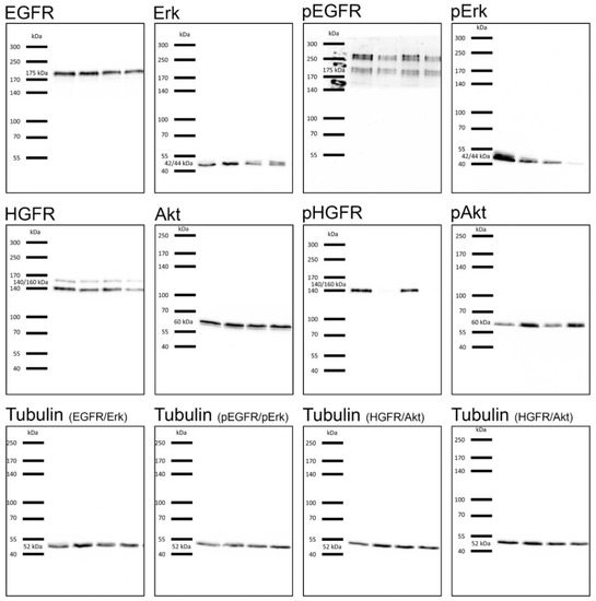 Cancers 12 00028 g0a4