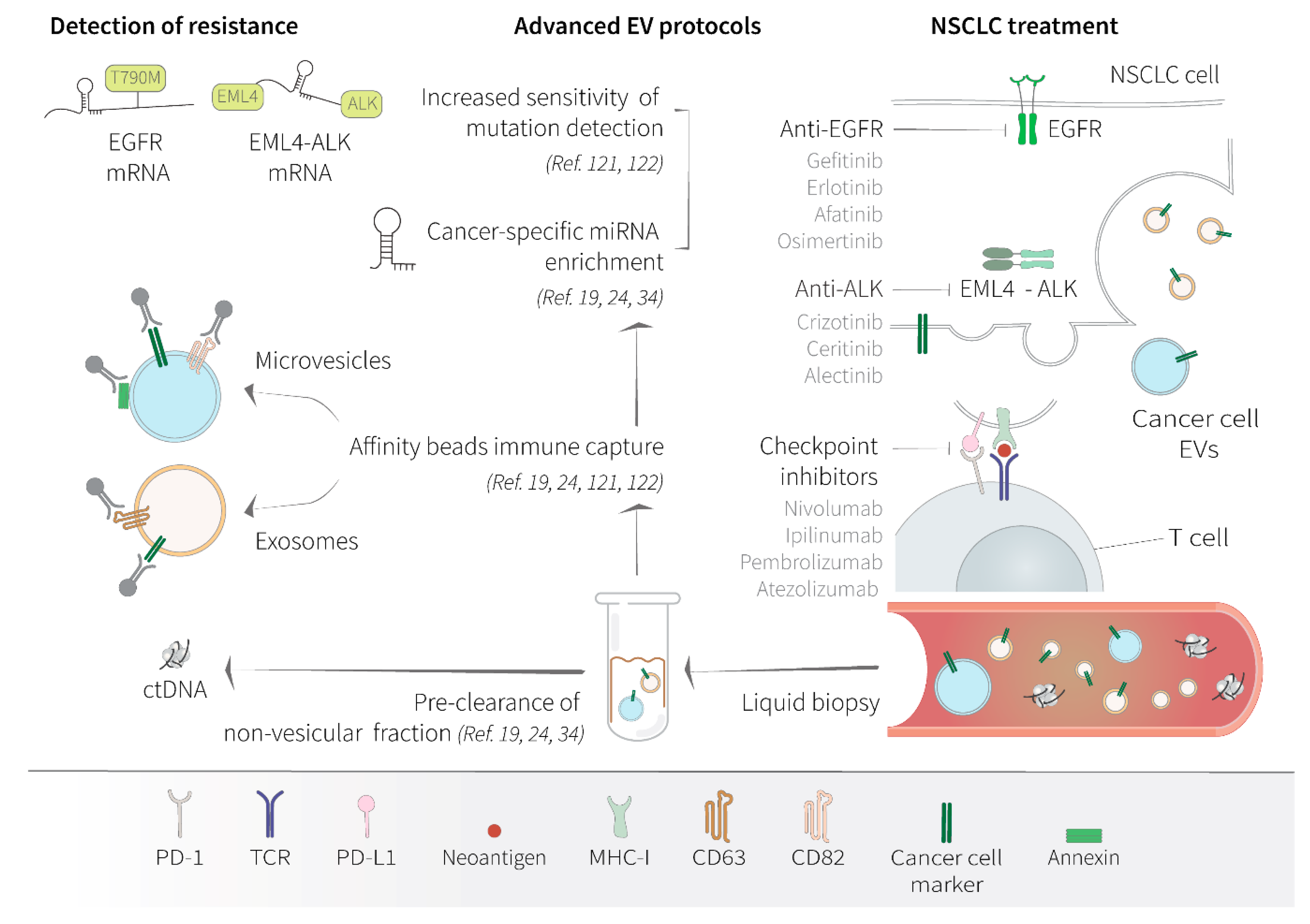 Cancers 12 00040 g003