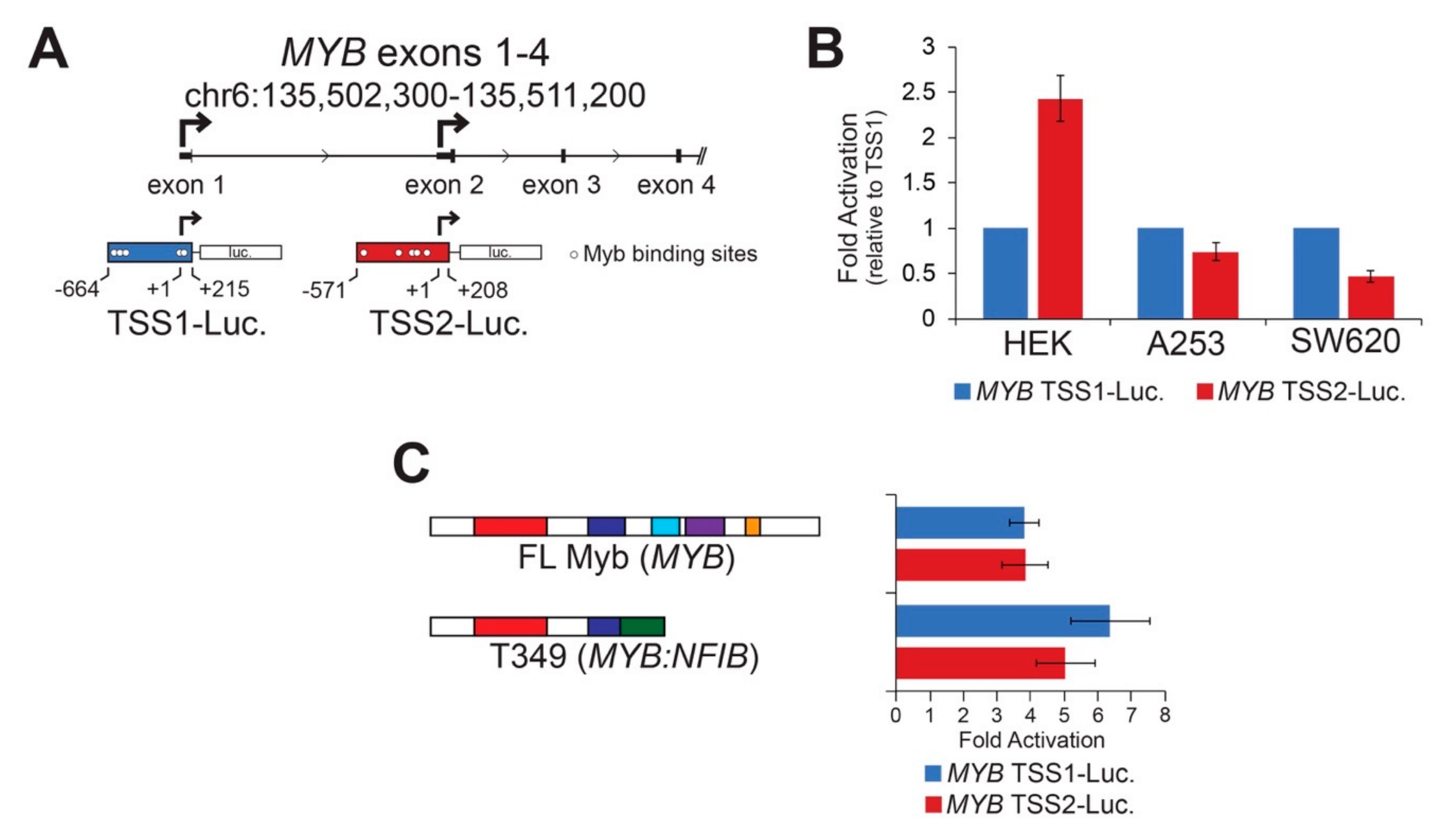 Cancers 12 00045 g002 Cancers 12 00045 g002