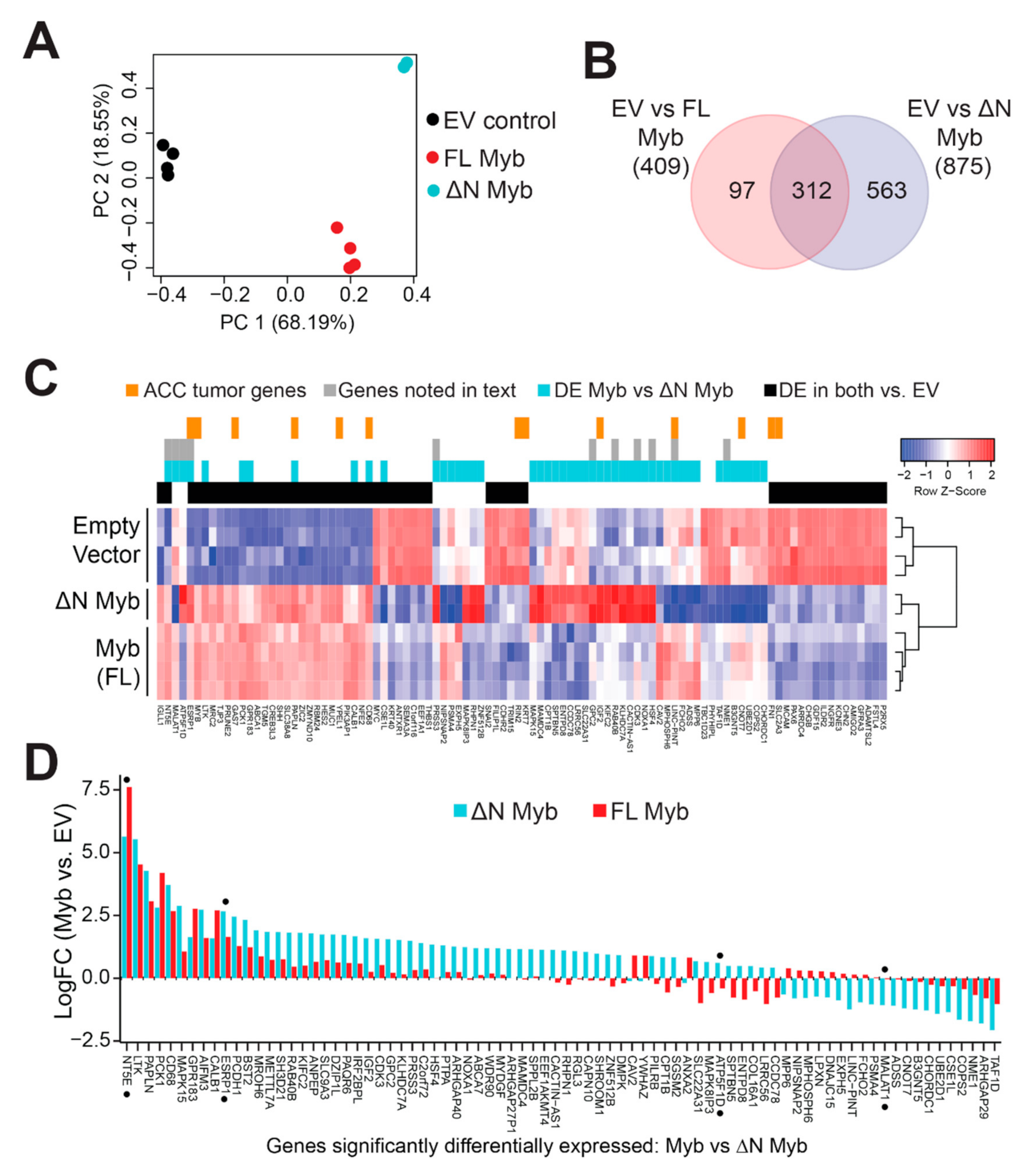 Cancers 12 00045 g005 Cancers 12 00045 g005