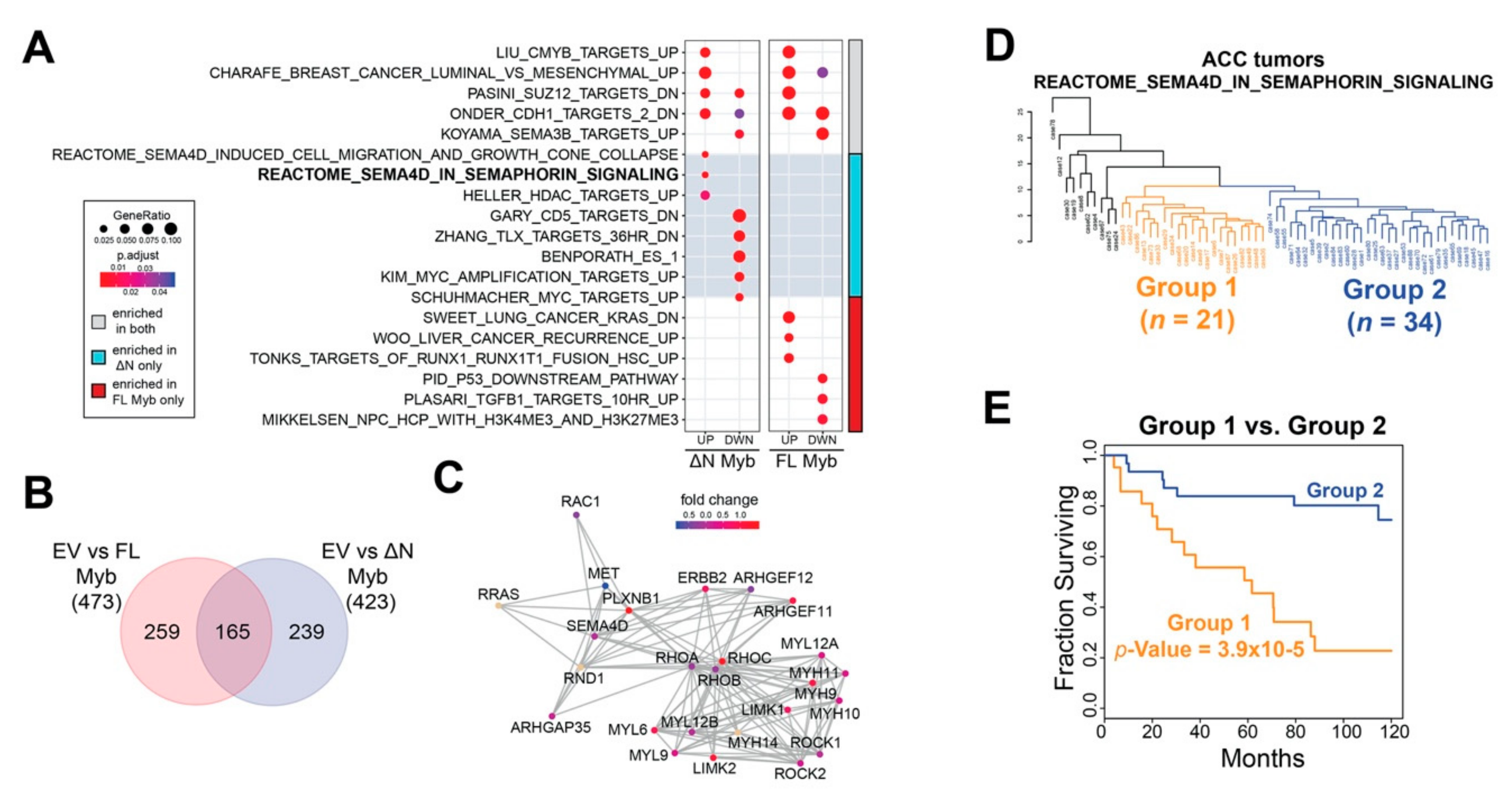 Cancers 12 00045 g006 Cancers 12 00045 g006