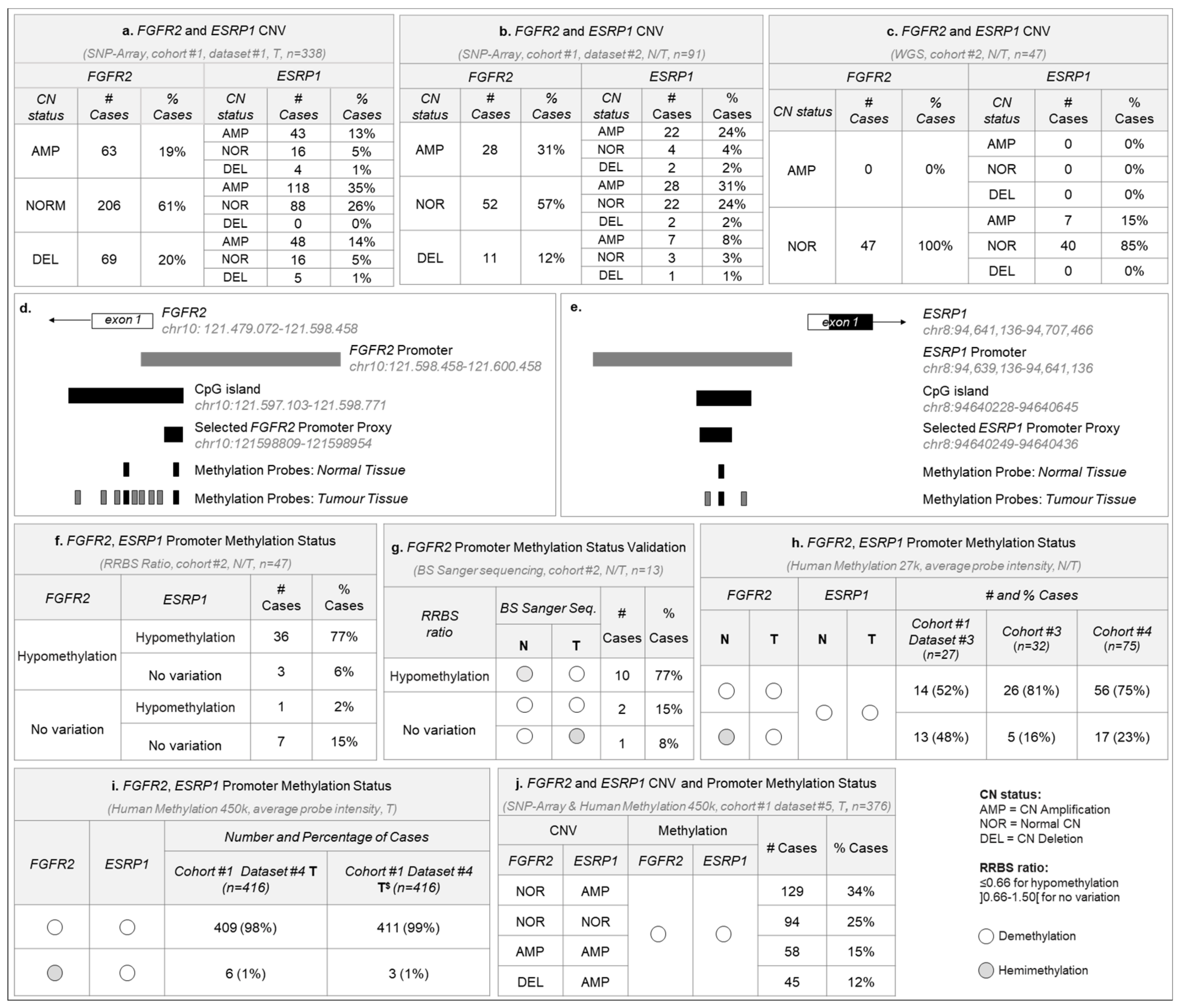 Cancers 12 00070 g001
