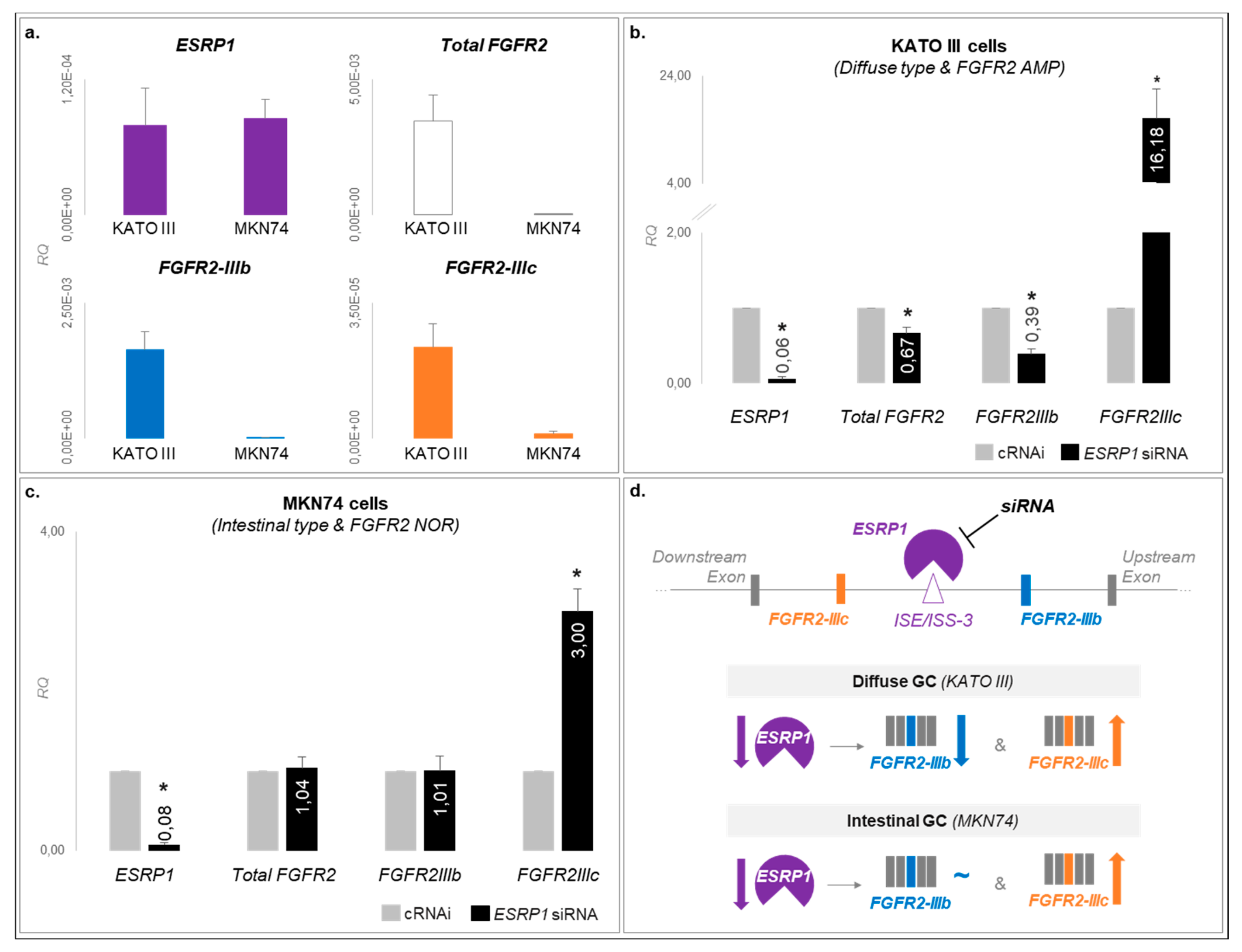 Cancers 12 00070 g005