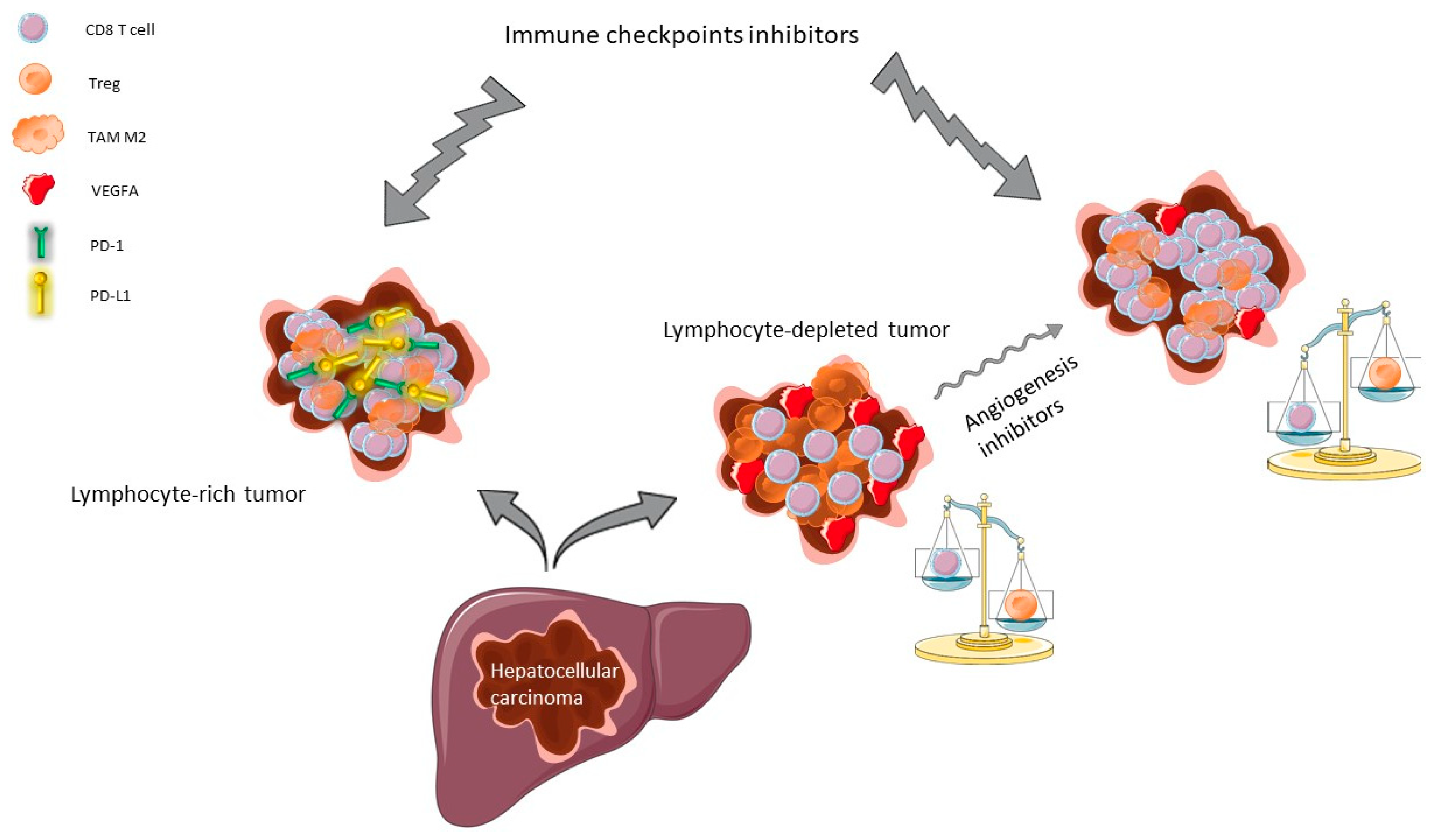 Cancers 12 00077 g001