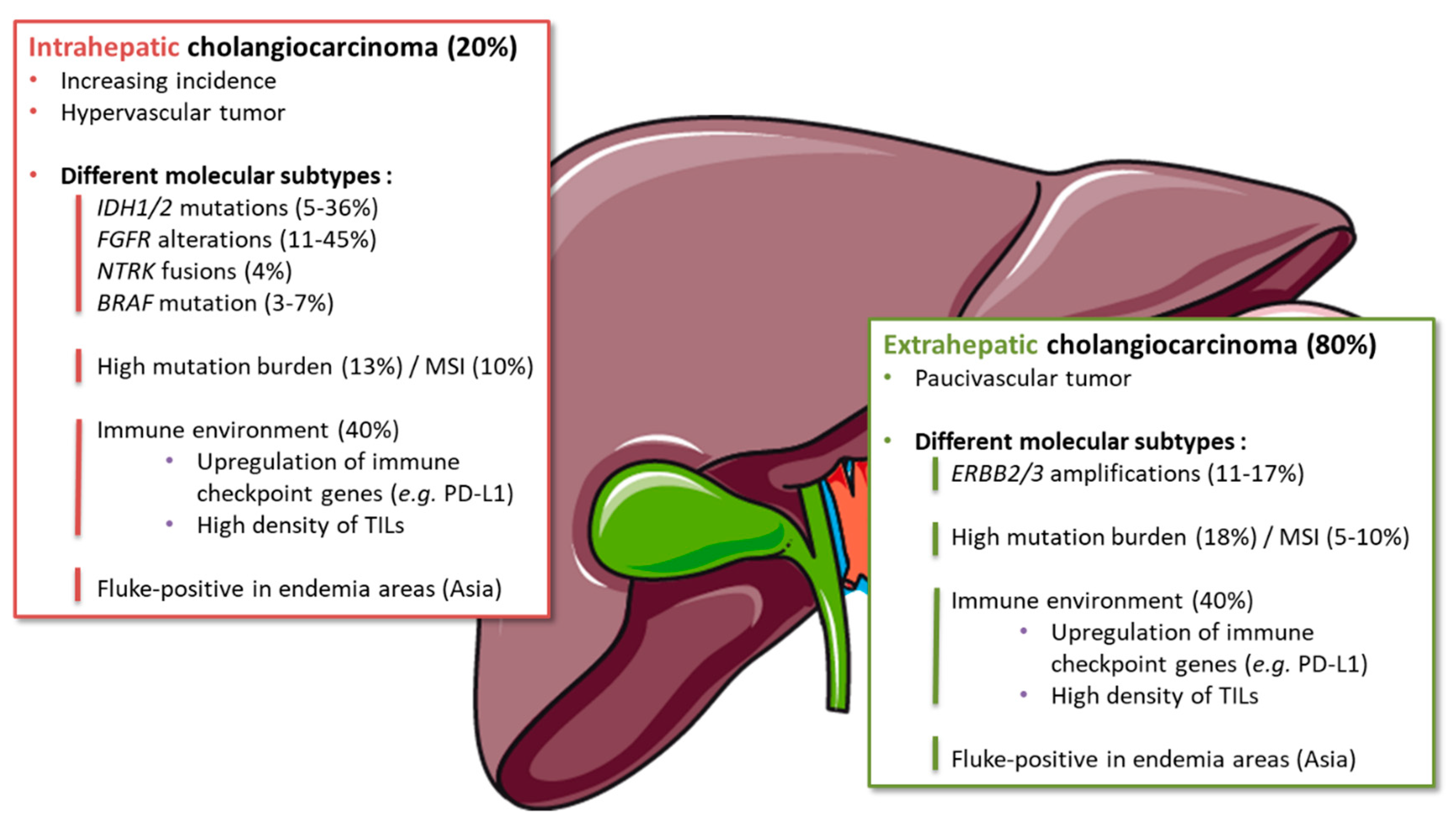 Cancers 12 00077 g002