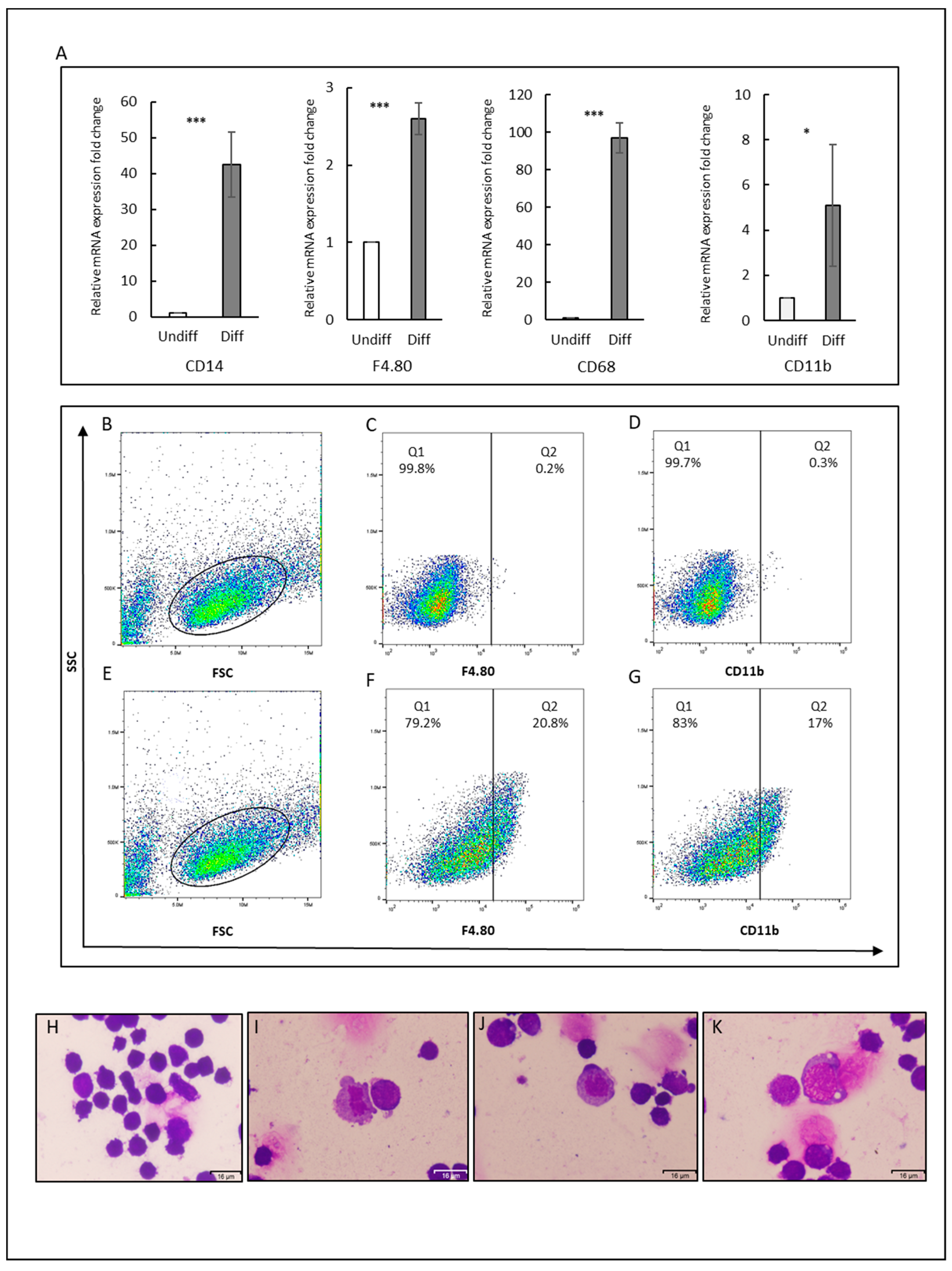 Cancers 12 00082 g006 Cancers 12 00082 g006