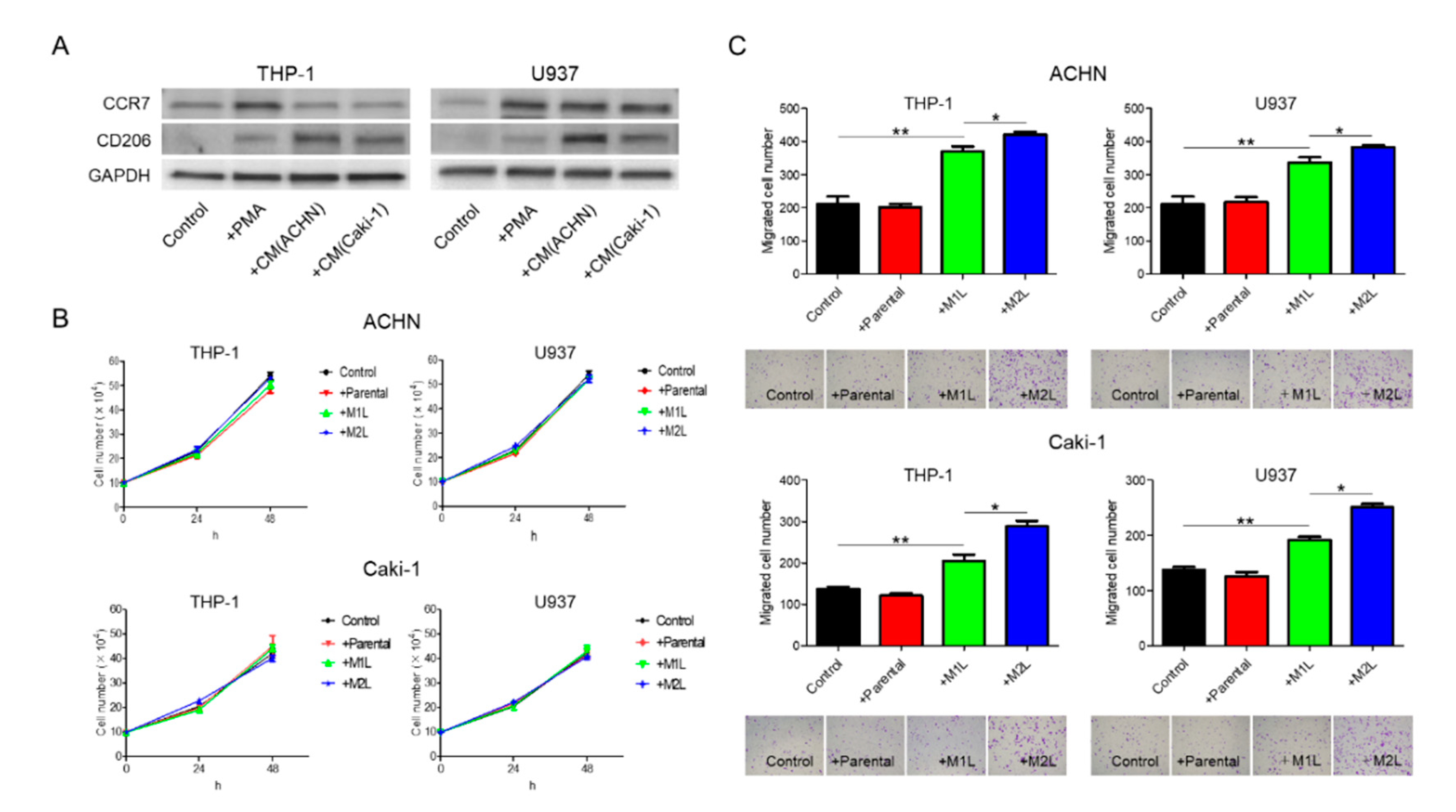 Cancers 12 00089 g001 Cancers 12 00089 g001