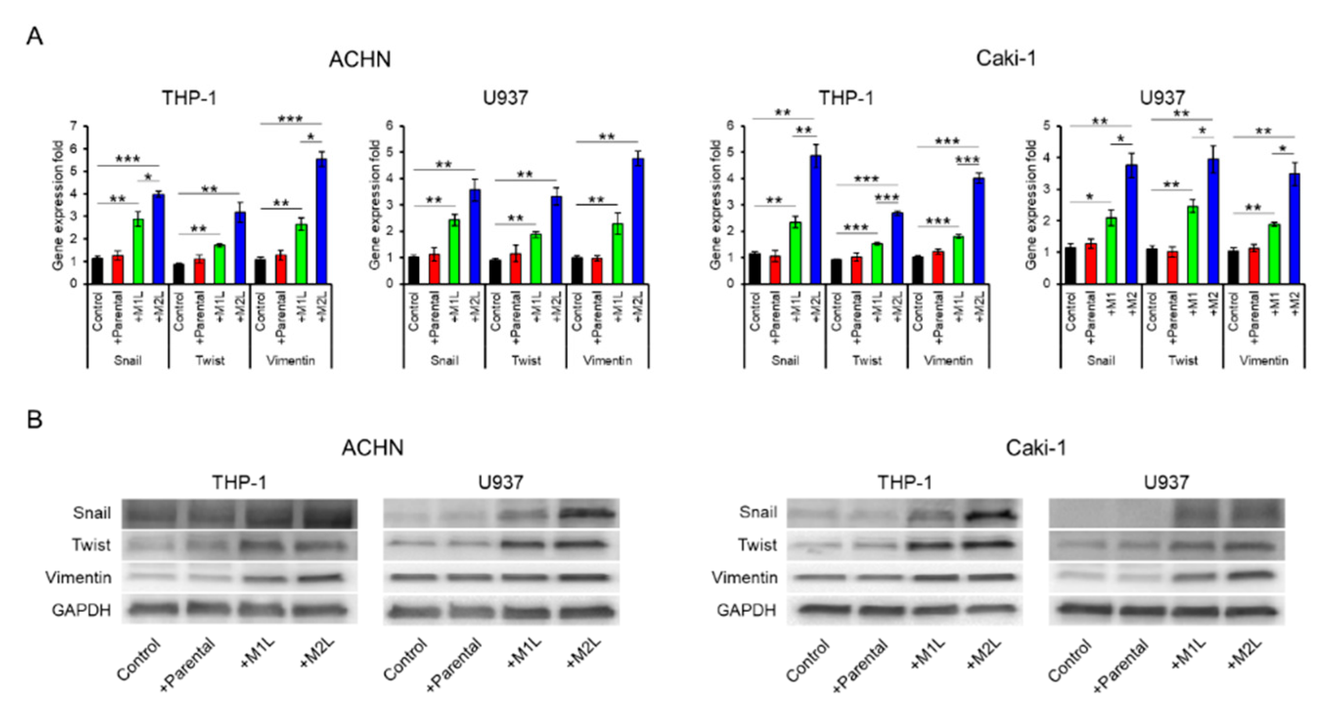 Cancers 12 00089 g002 Cancers 12 00089 g002