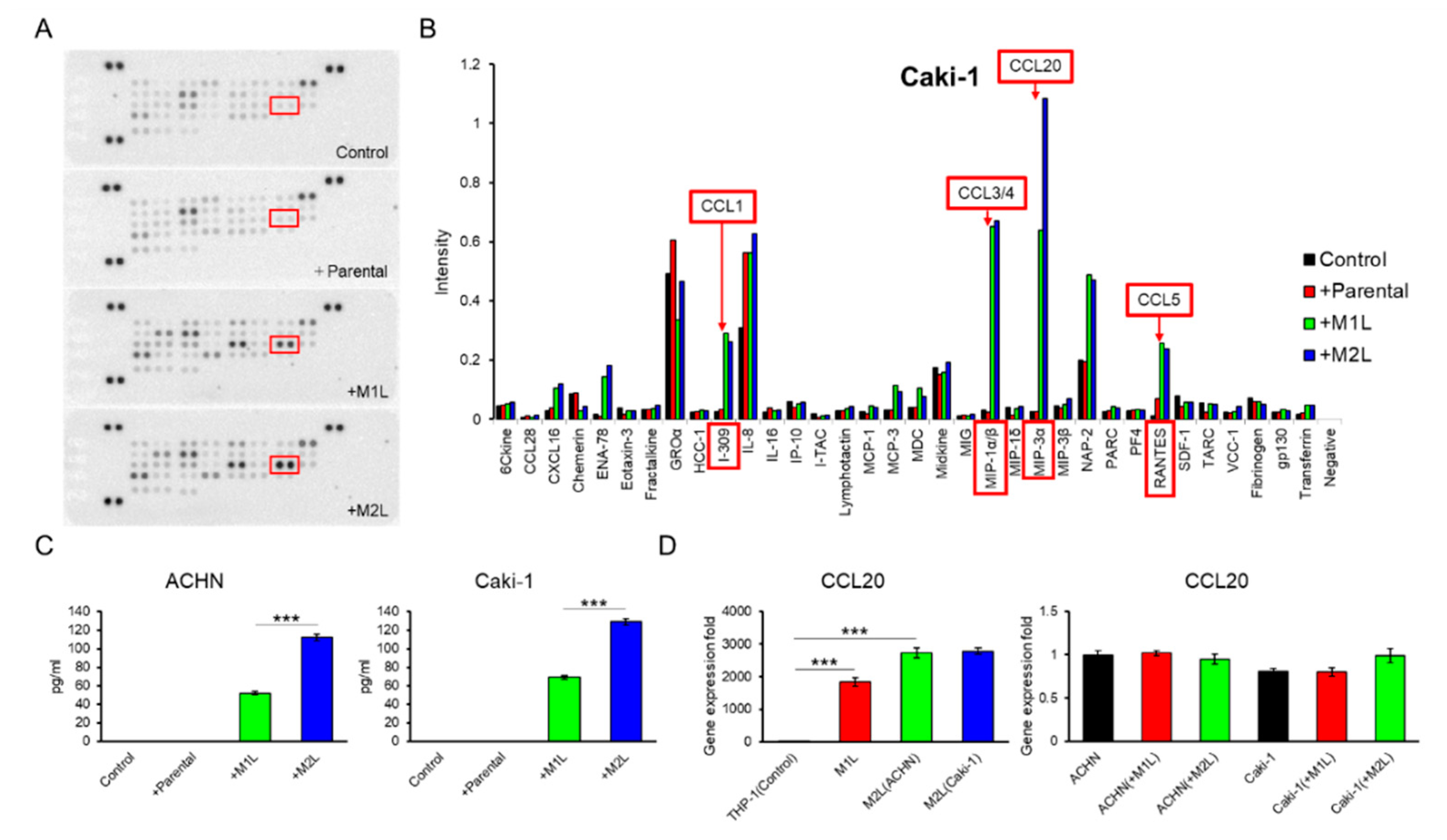 Cancers 12 00089 g003 Cancers 12 00089 g003