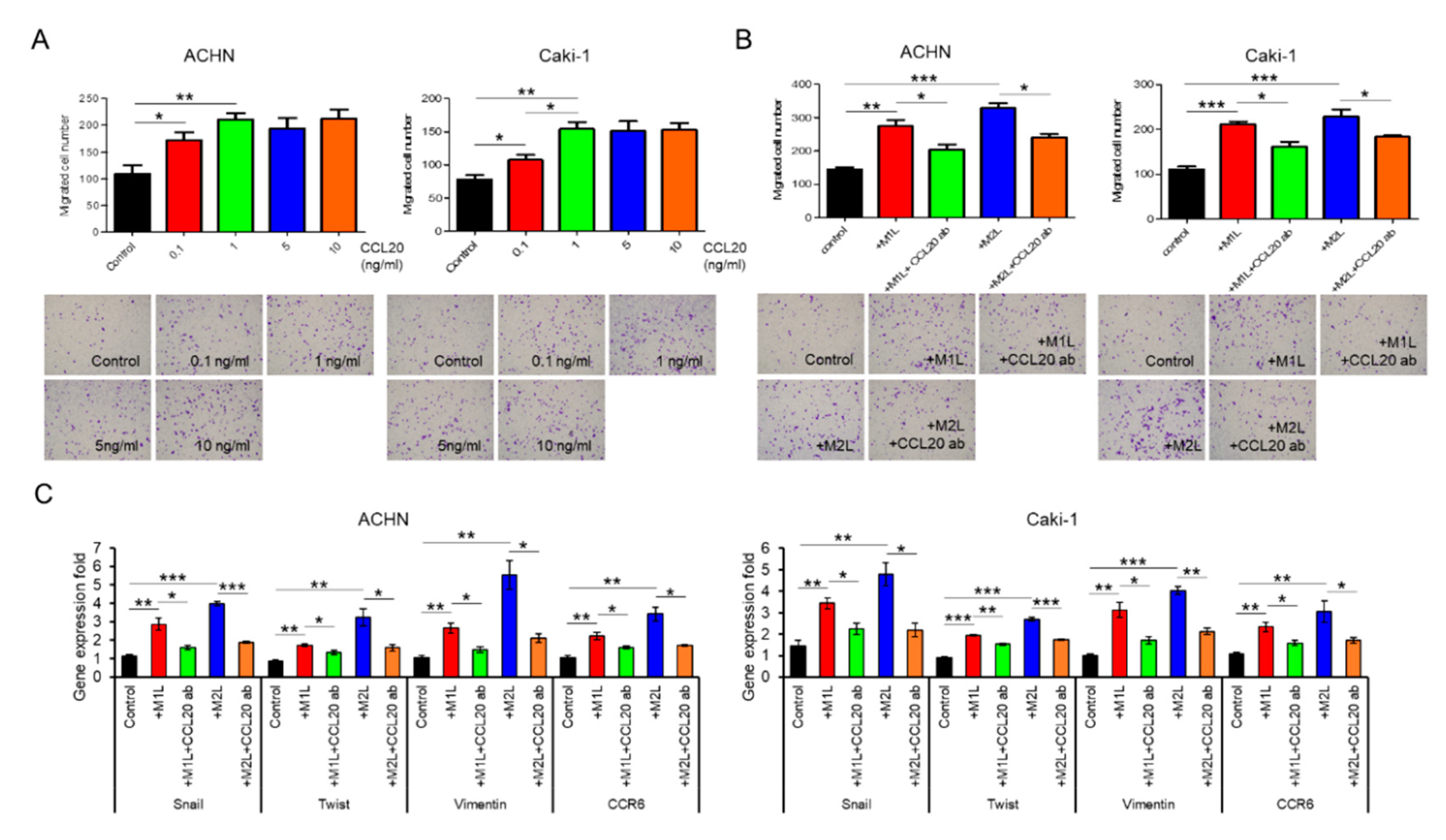 Cancers 12 00089 g004 Cancers 12 00089 g004