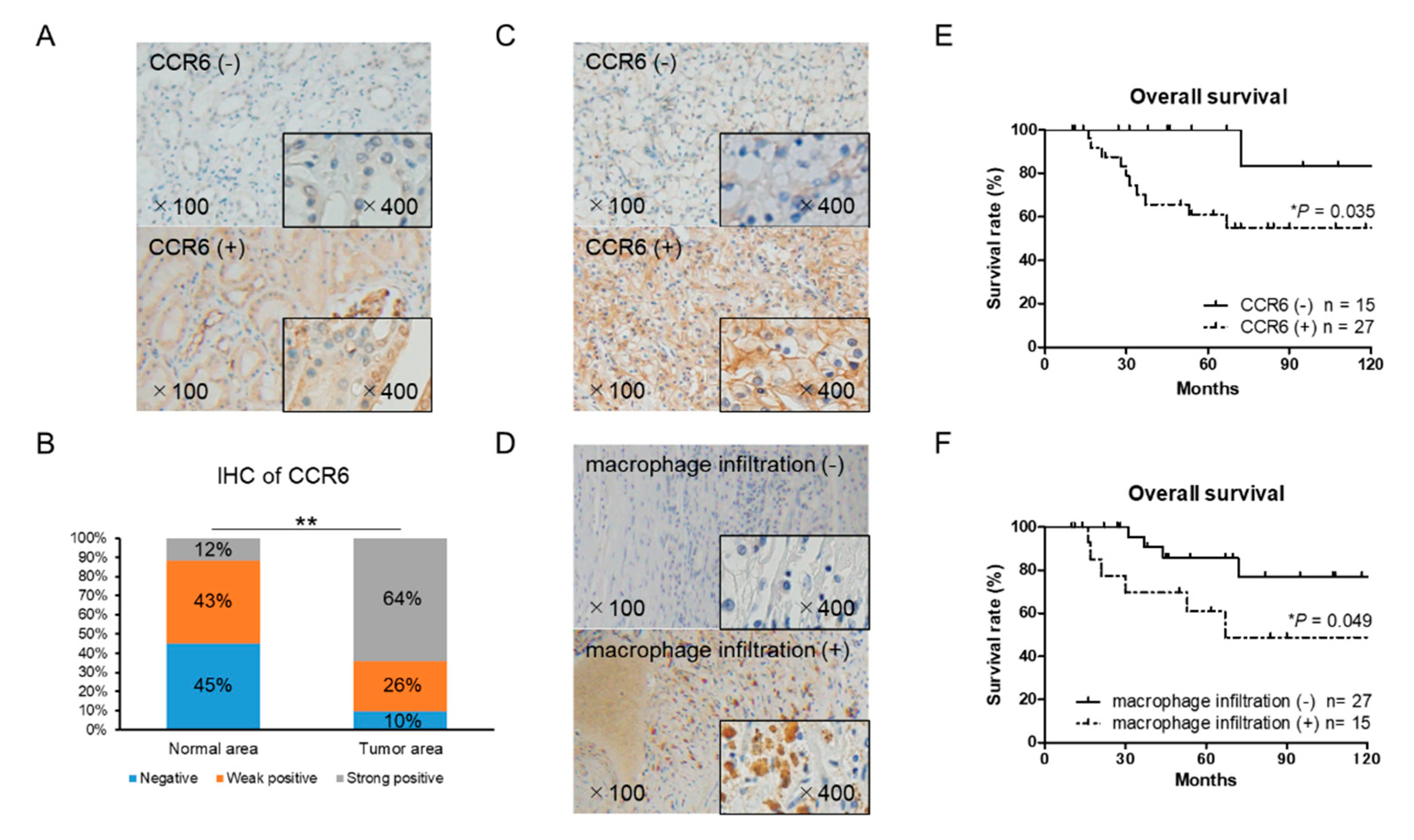 Cancers 12 00089 g006 Cancers 12 00089 g006