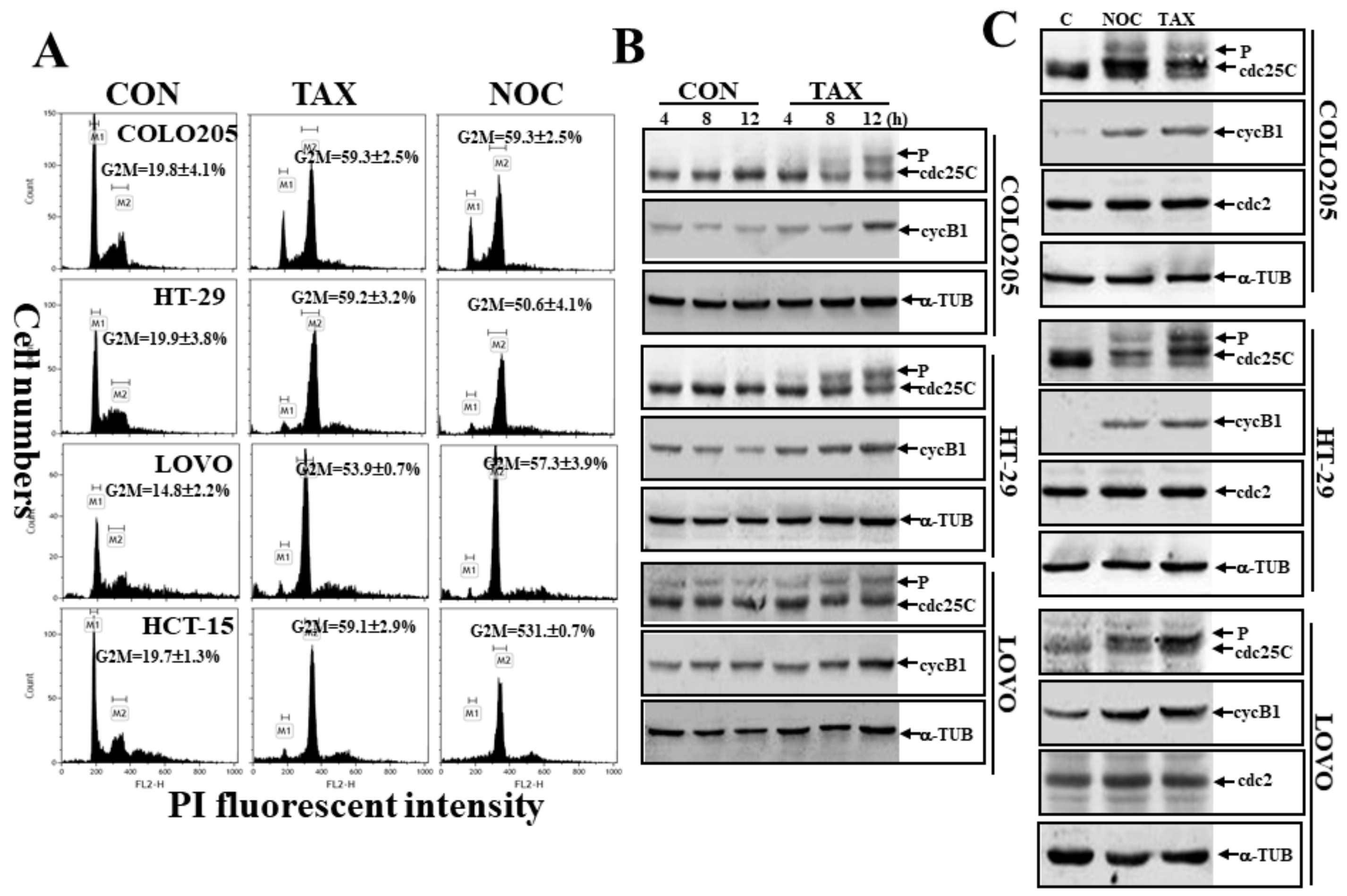 Cancers 12 00097 g002