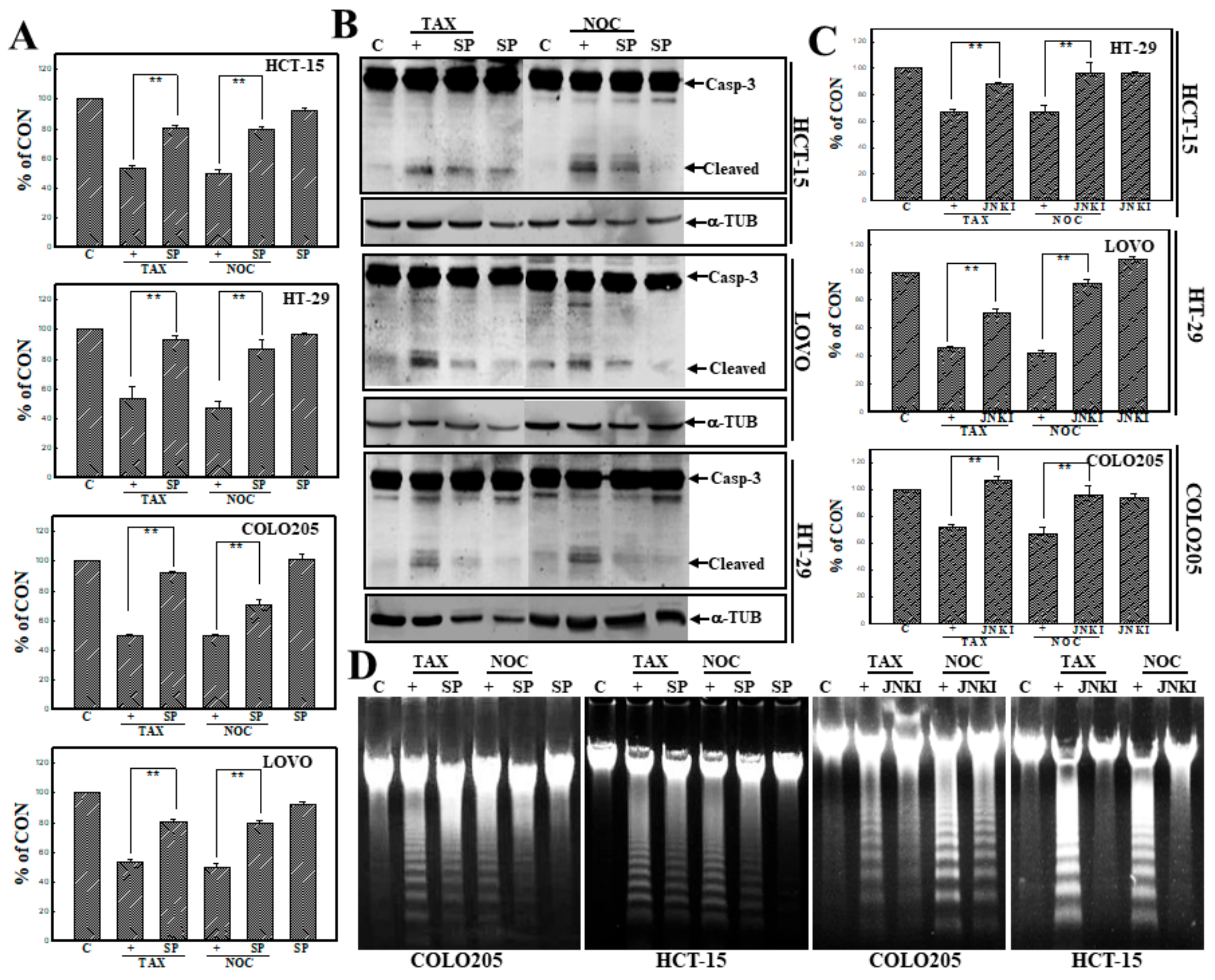 Cancers 12 00097 g003