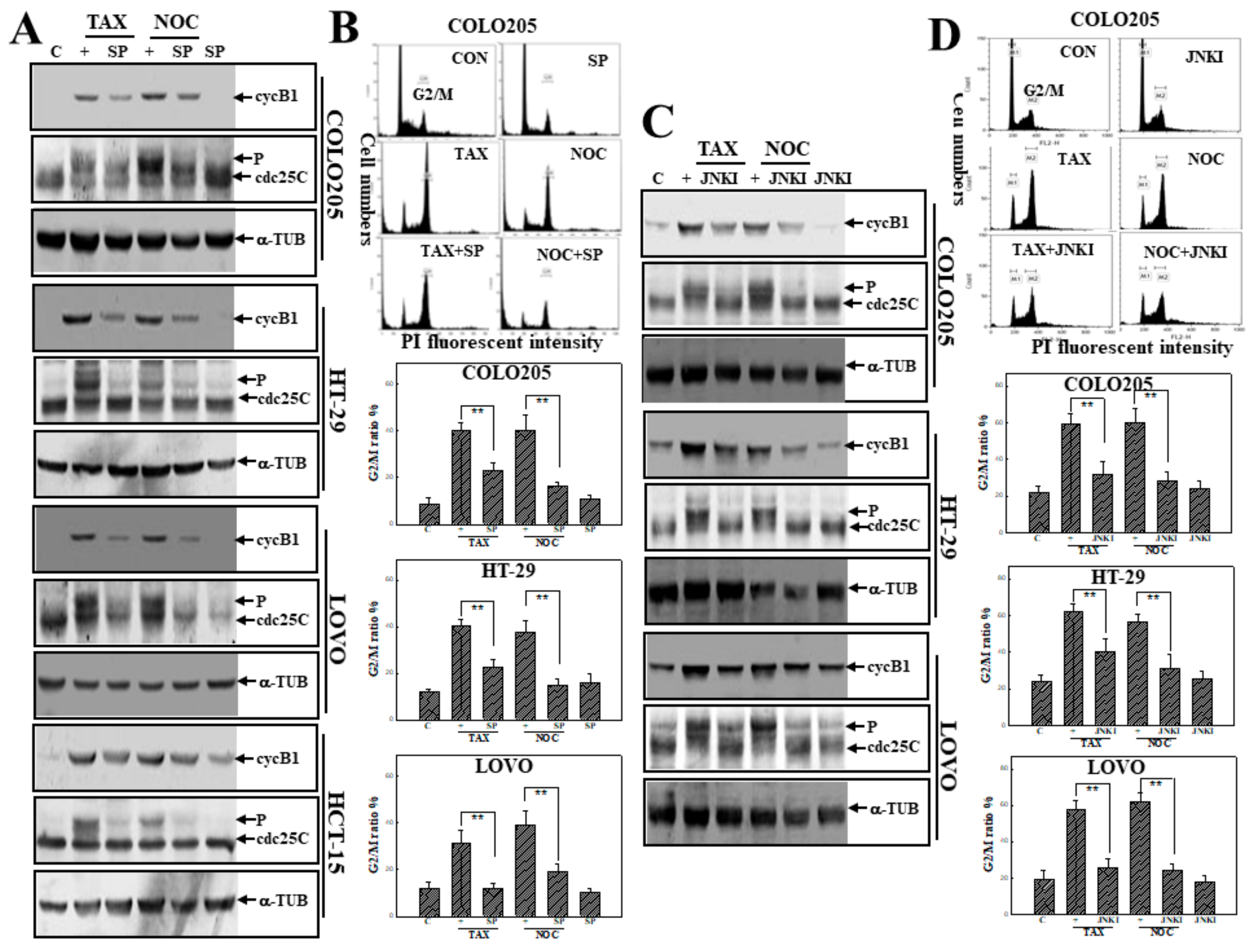 Cancers 12 00097 g004